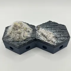 Hexcellence Spider infestation (2-Pack)