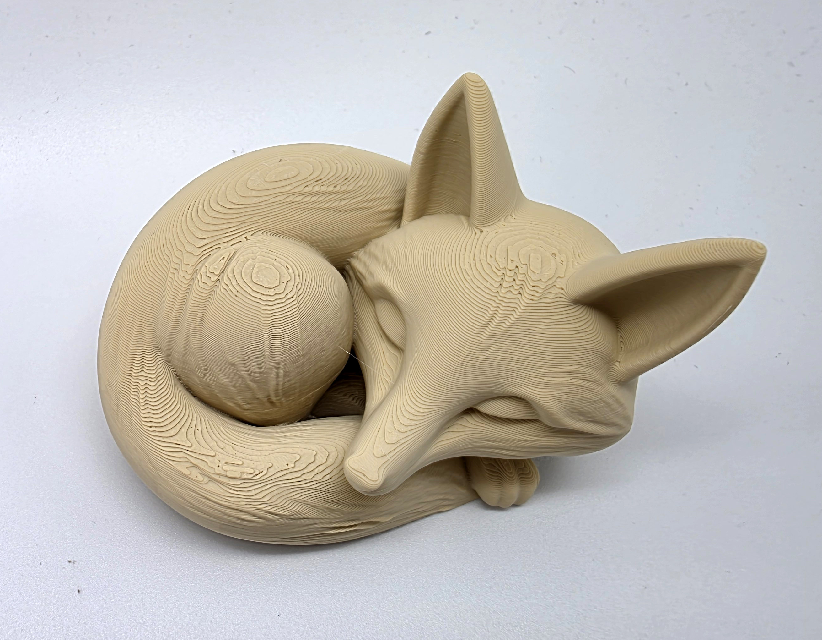 Miniatura 6 do modelo 3D Sleeping Fox 1