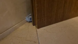 Magnetic door holder