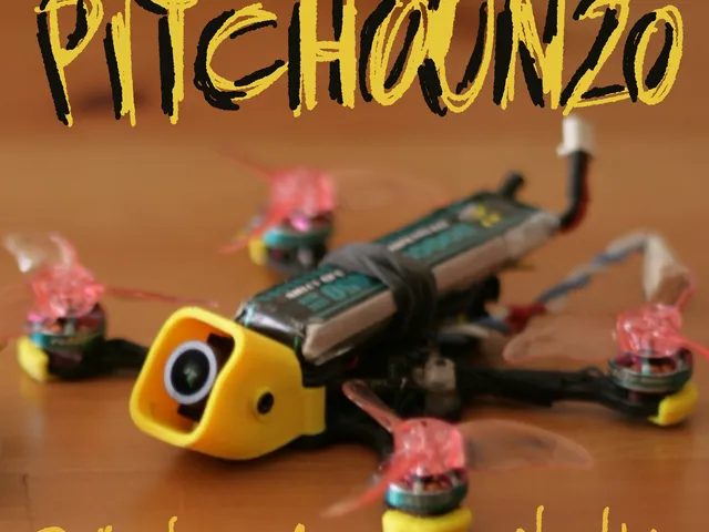PITCHOUN 20