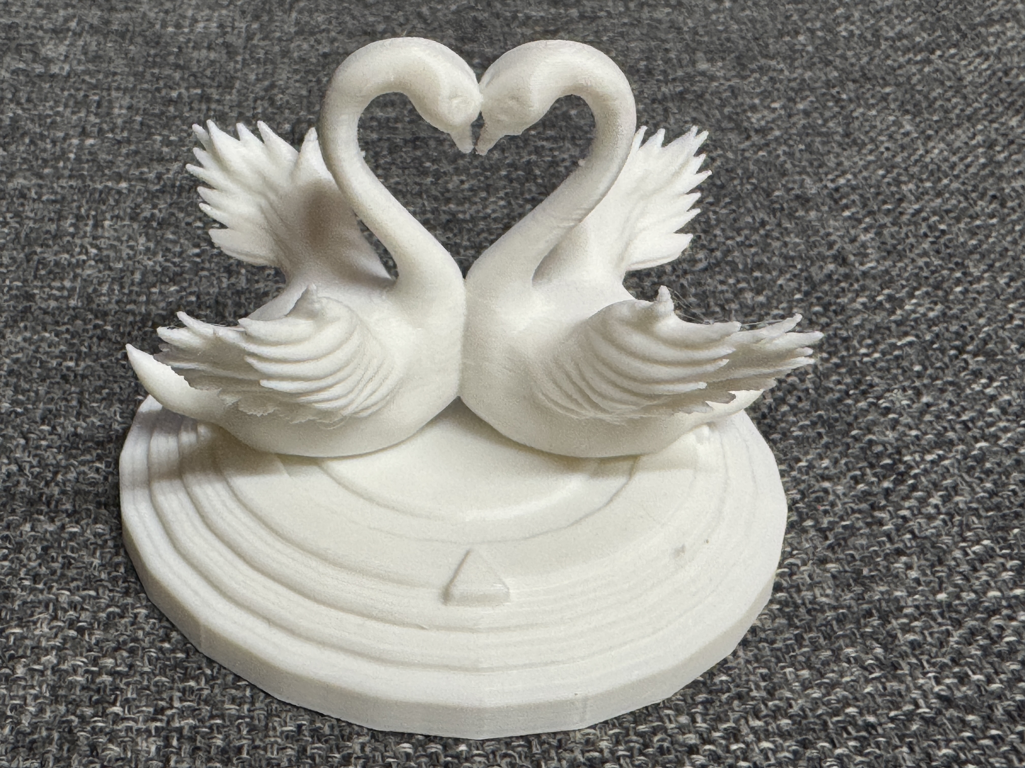 Couple of Beautiful Swans