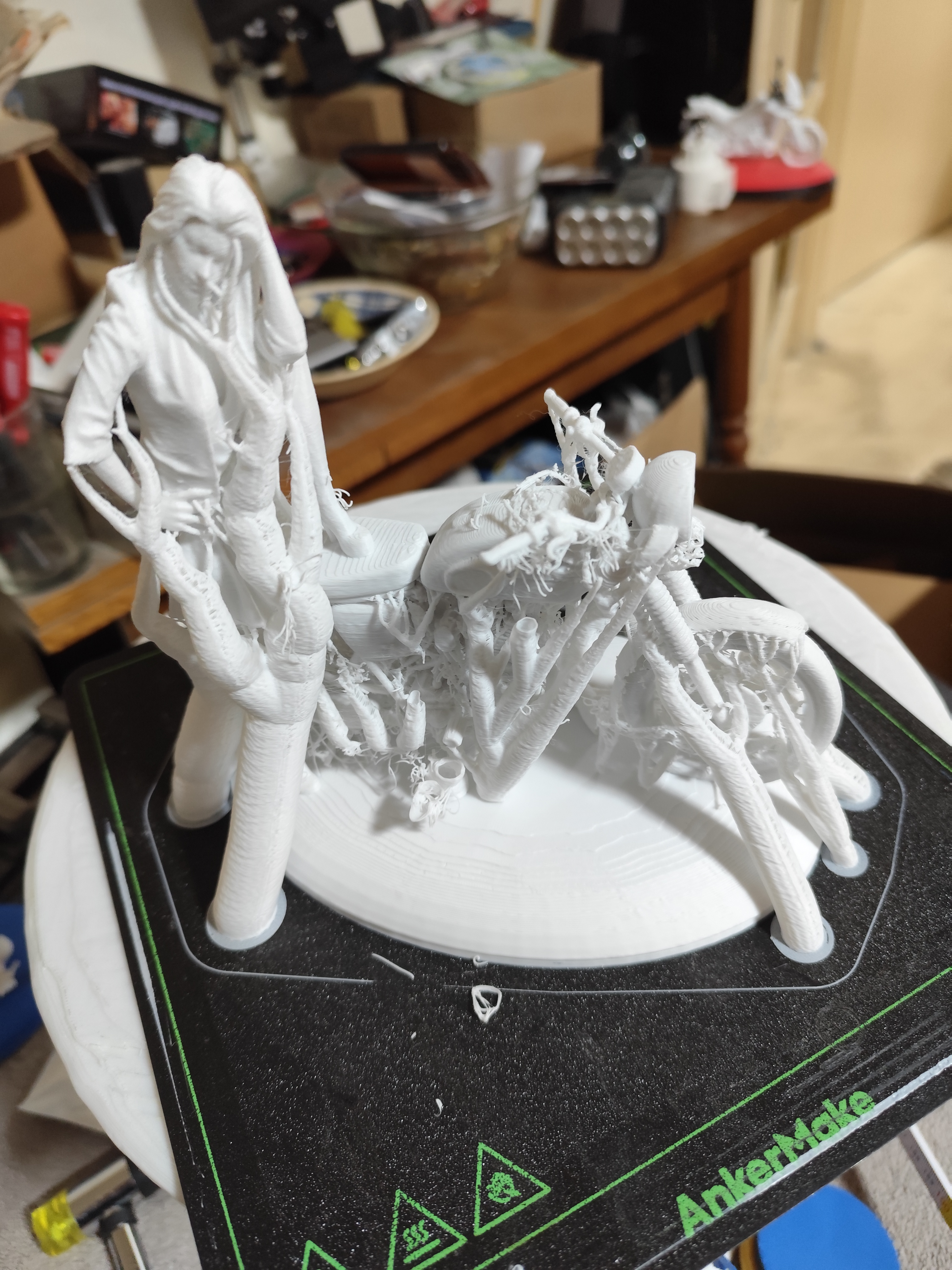 Biker Chick upgrade stronger wheels — miniatura 15