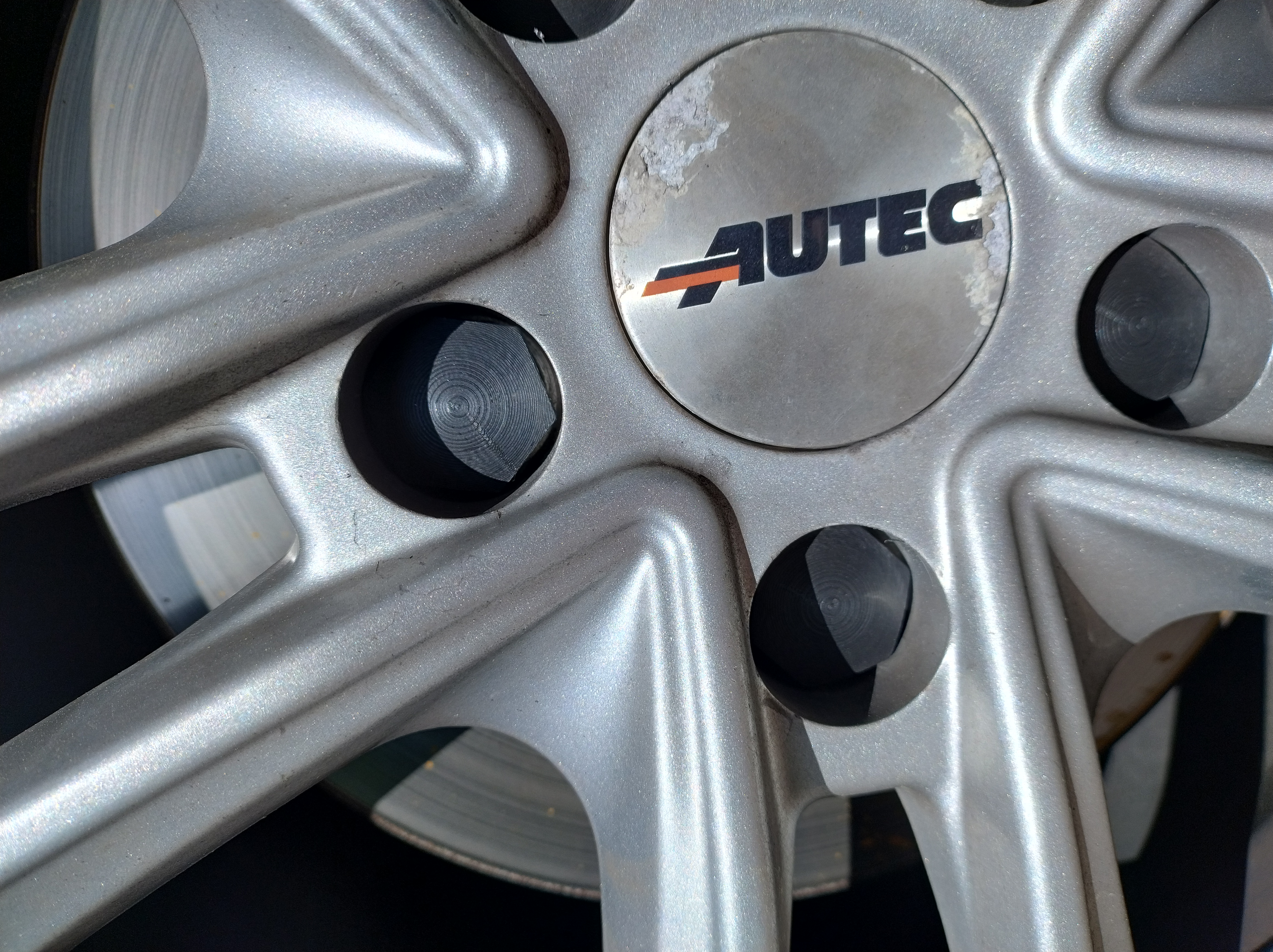 Wheelnut Cover