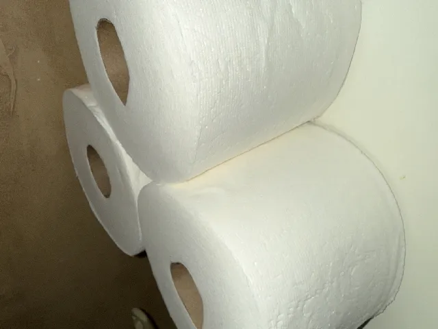 Compact Toilet Paper Holder (Screw mounted) or Twin Towel Holder