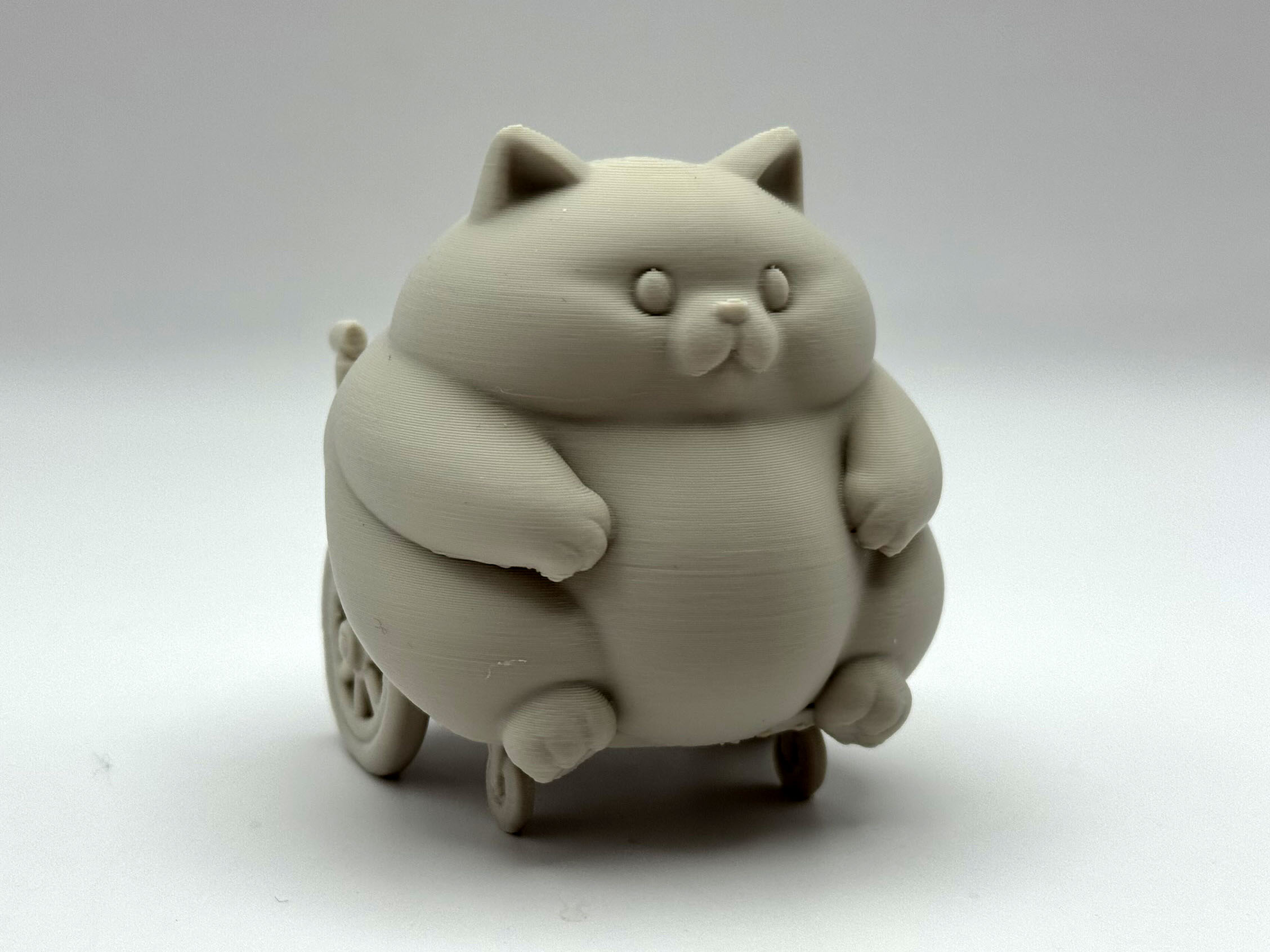 Chonky Wheelchair Kitten