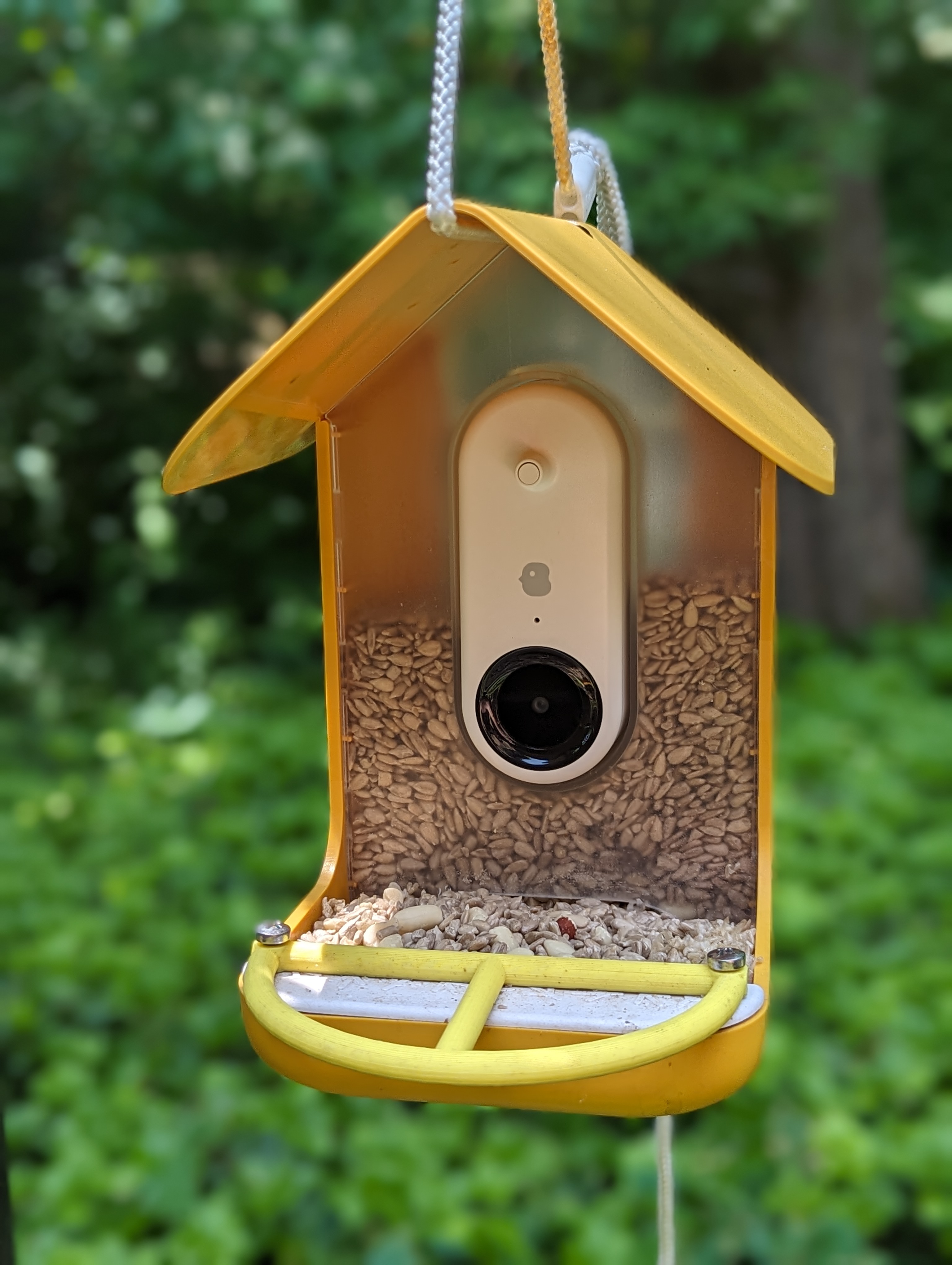 Small and Simple Bird Buddy Perch