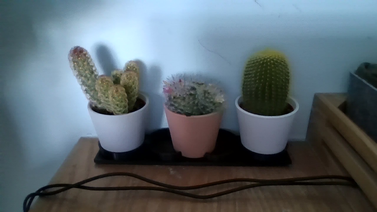 Ikea Cactus Holder (3 Pack)