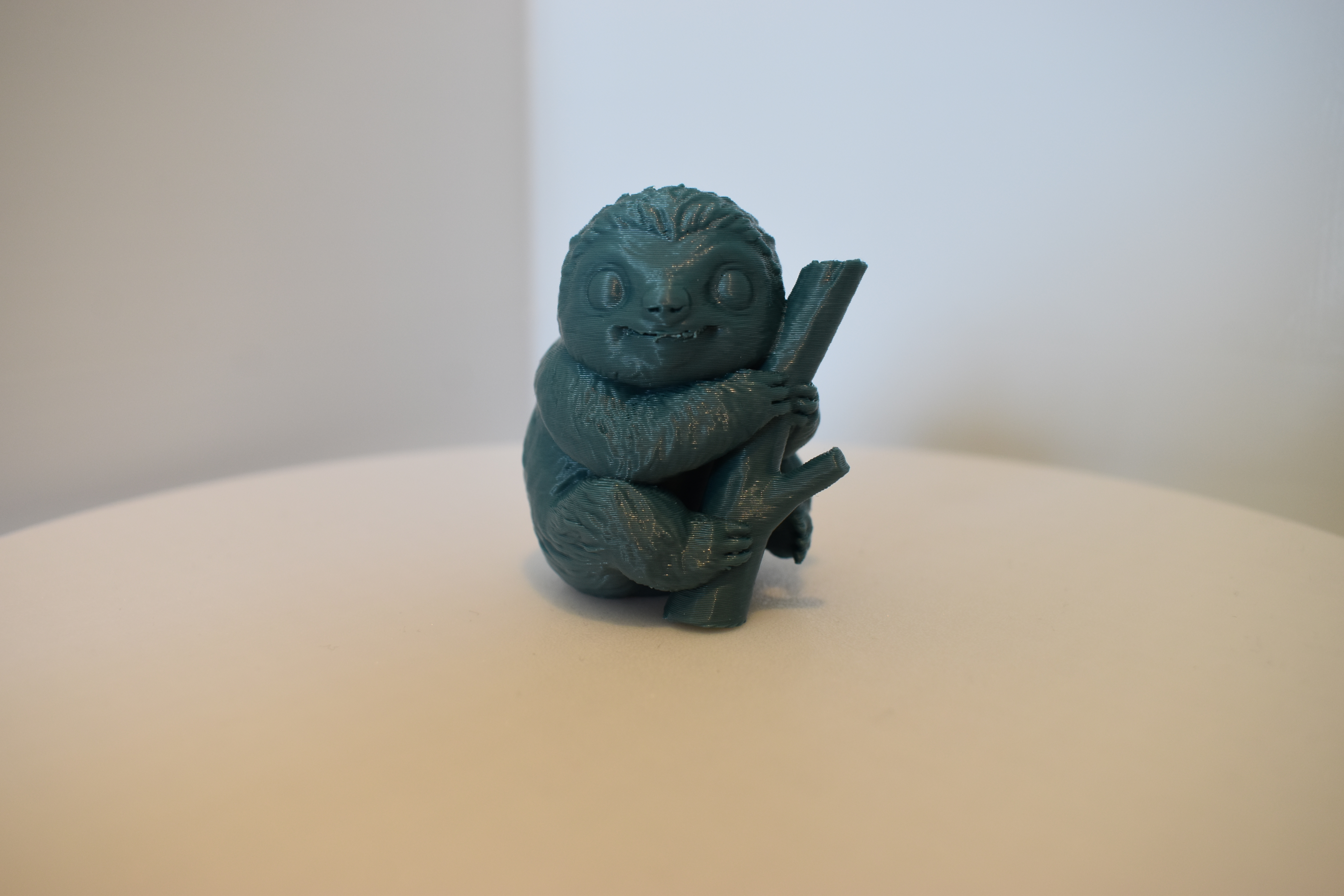 Cute mini sloth