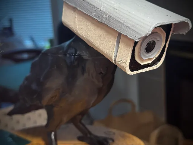 Crow Security Camera