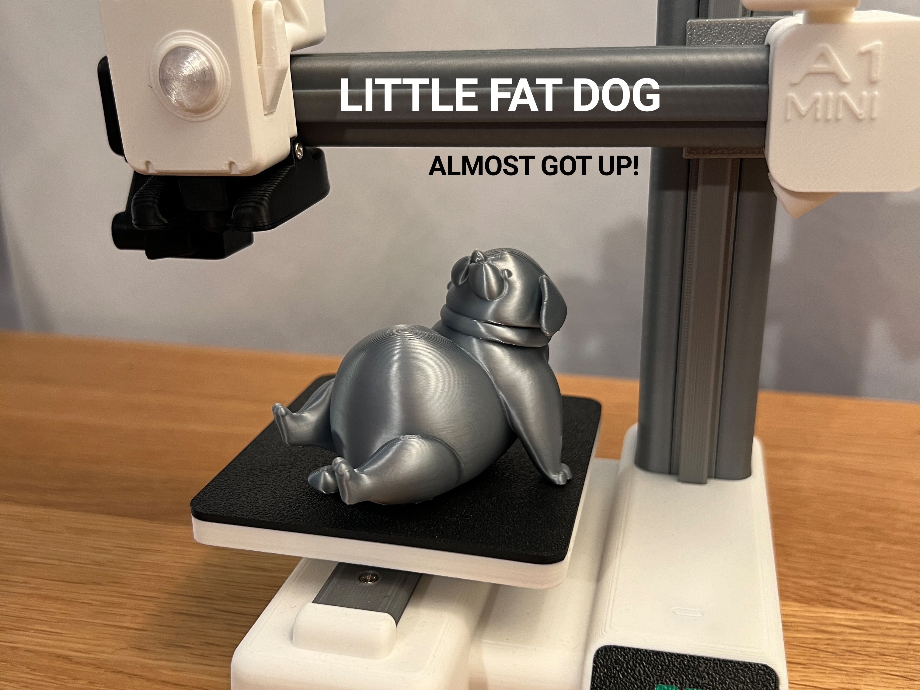 Little Fat Dog