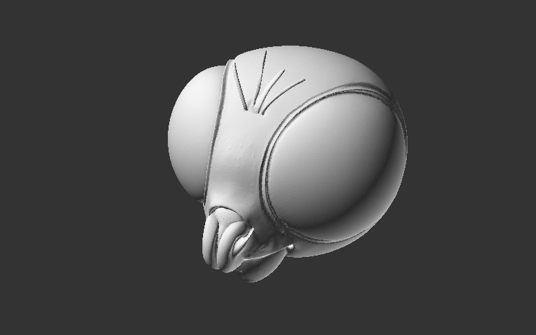 The Fly head for Minimates