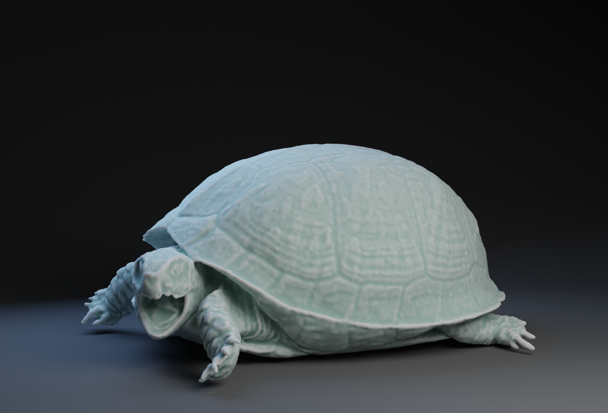 Box Turtle