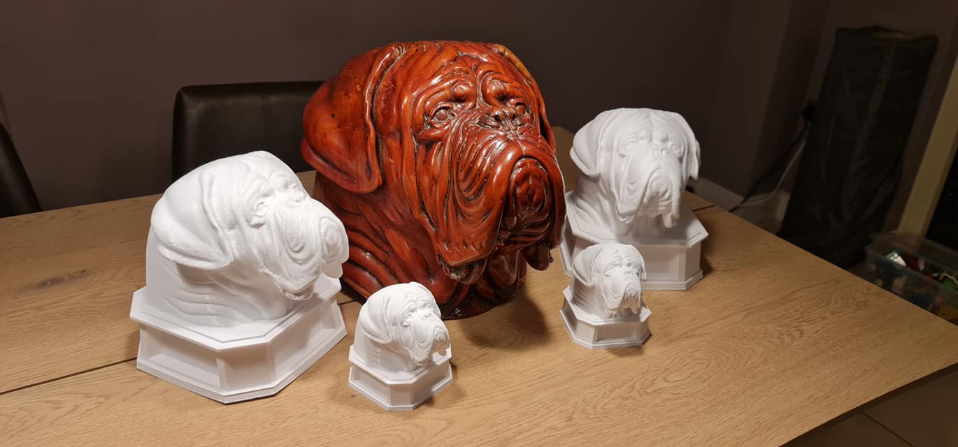 Dogue de Bordeaux Bust