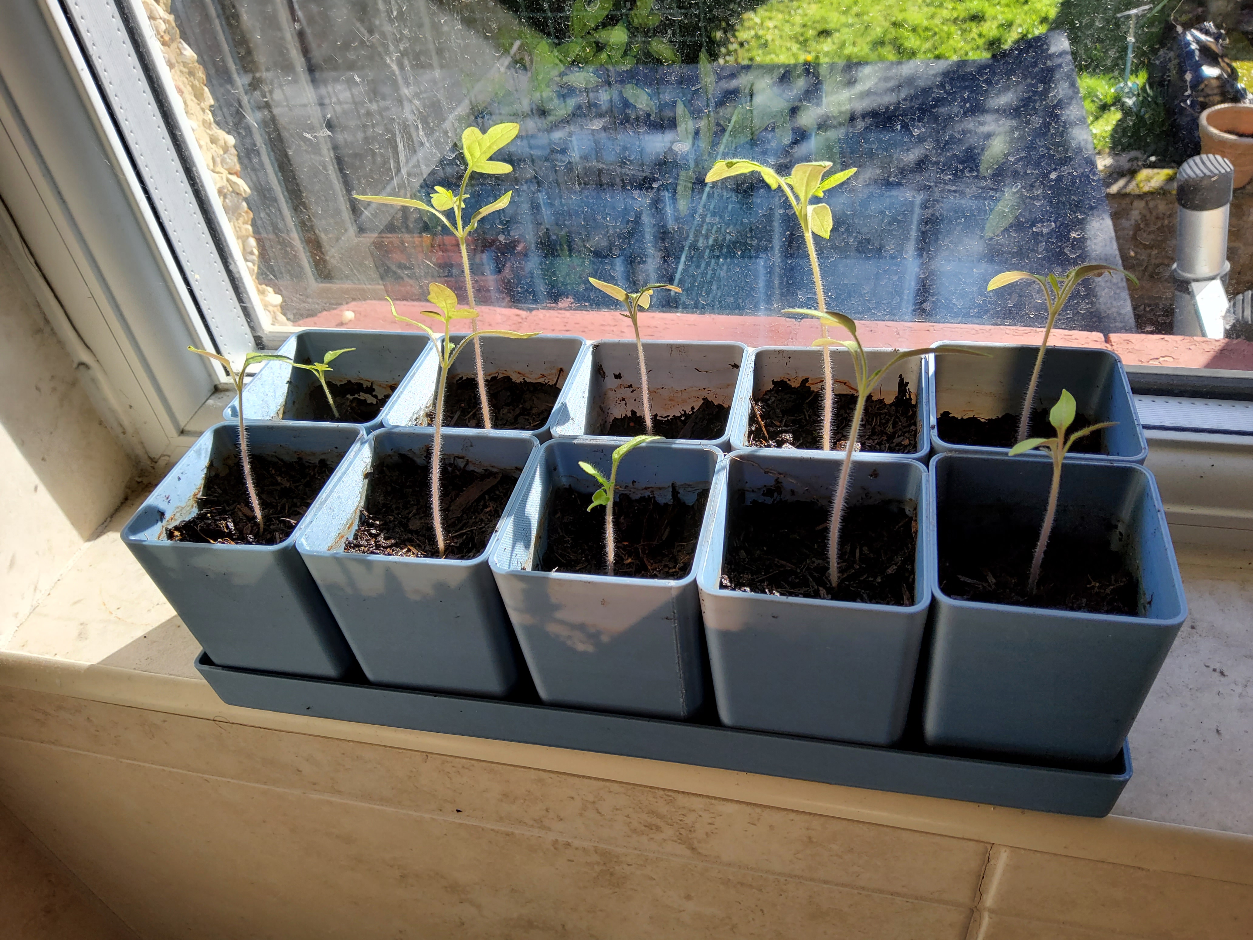 Seed starter pots with tray