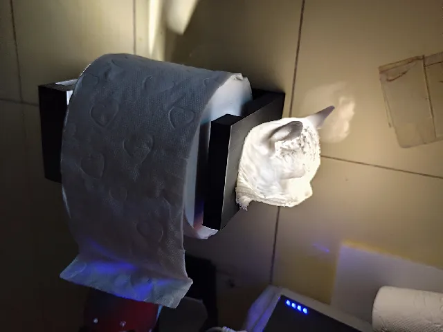 illuminated loo roll holder