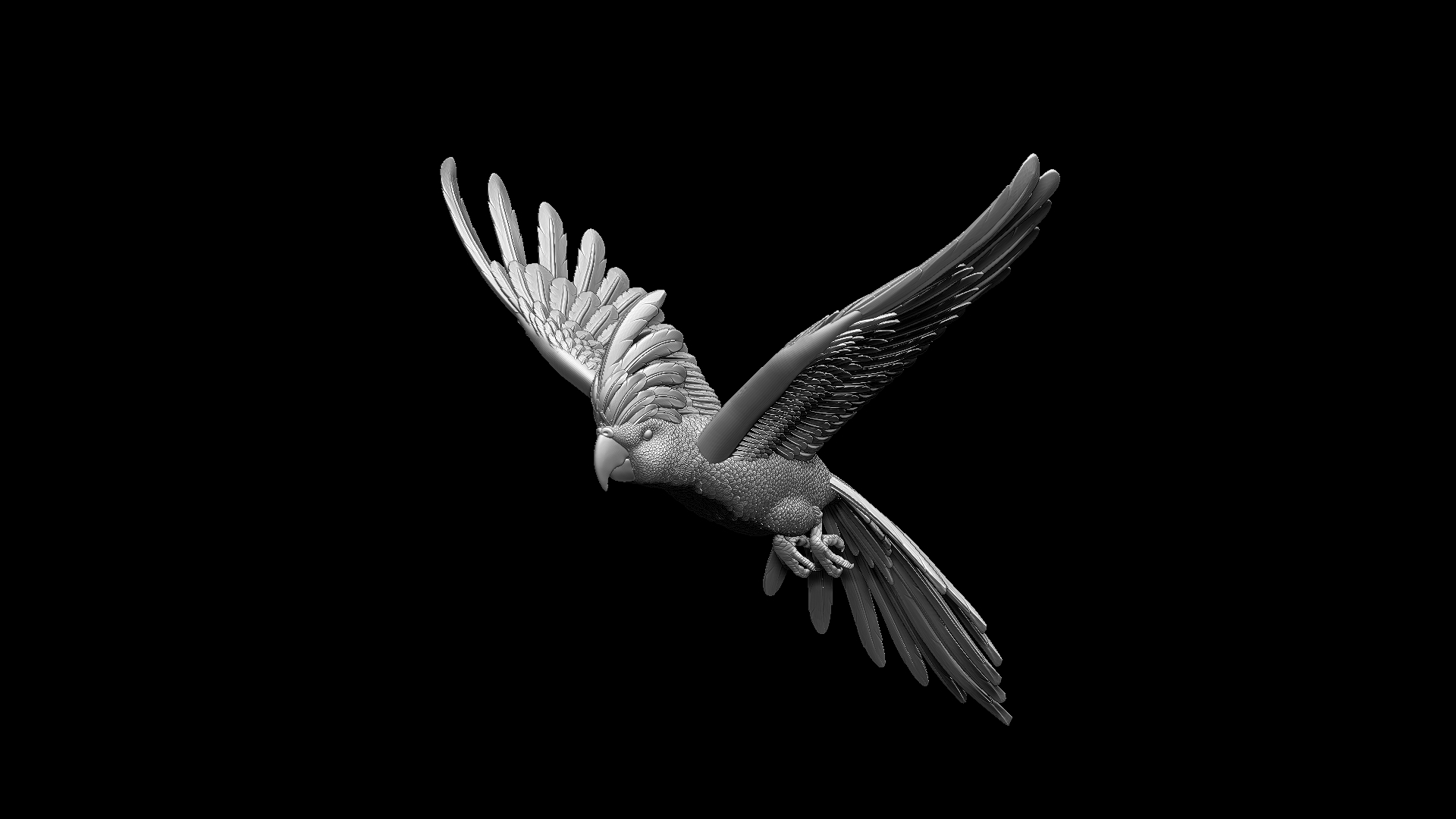 parrot