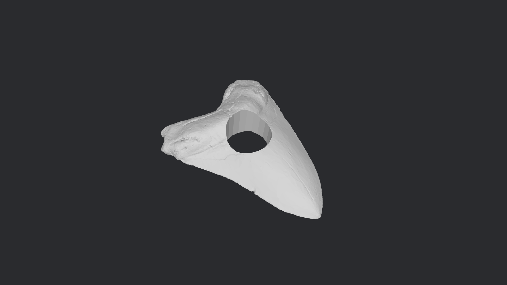 Realistic Shark Tooth Bead