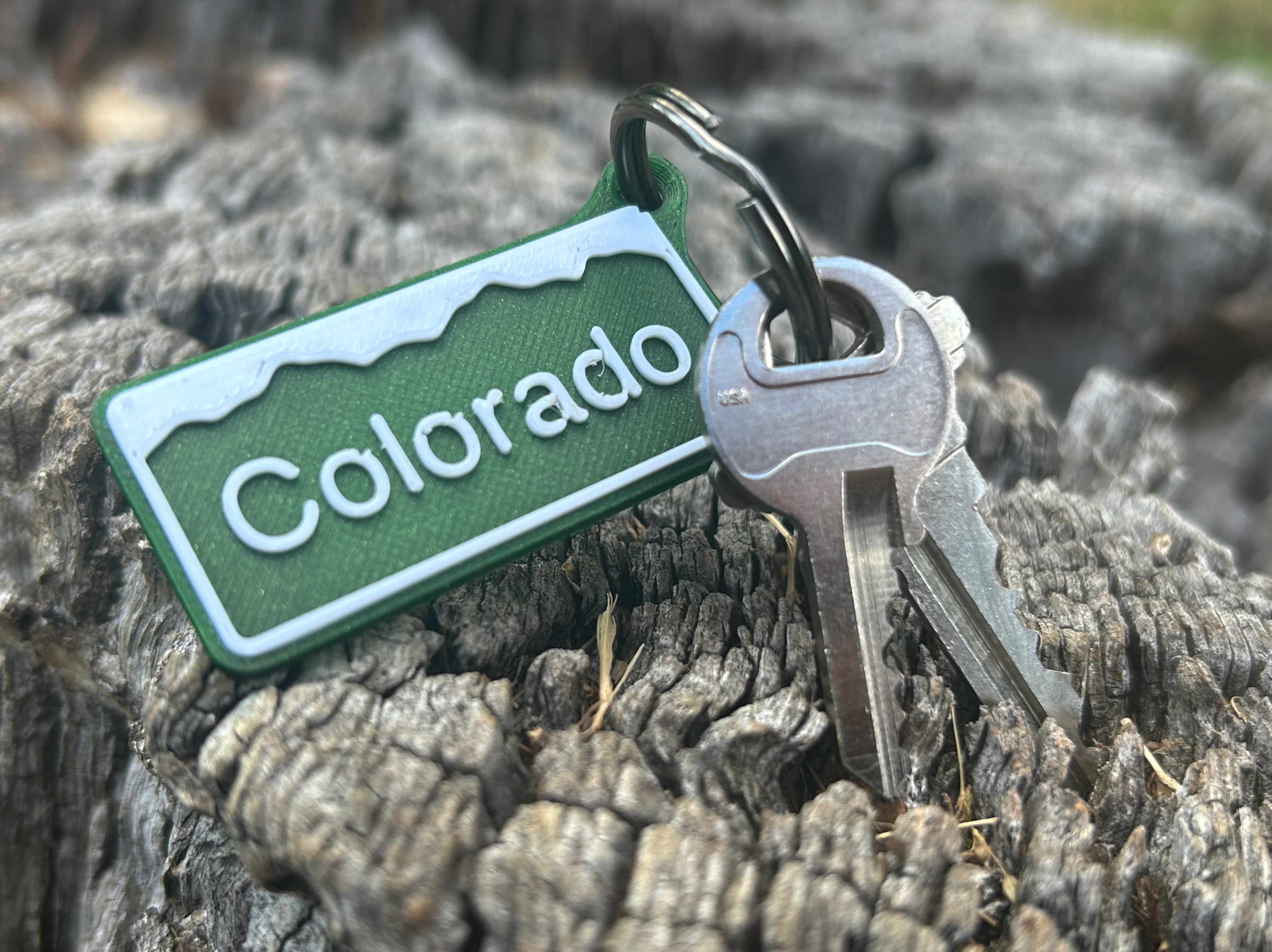 Customizable Colorado Tag Keychain