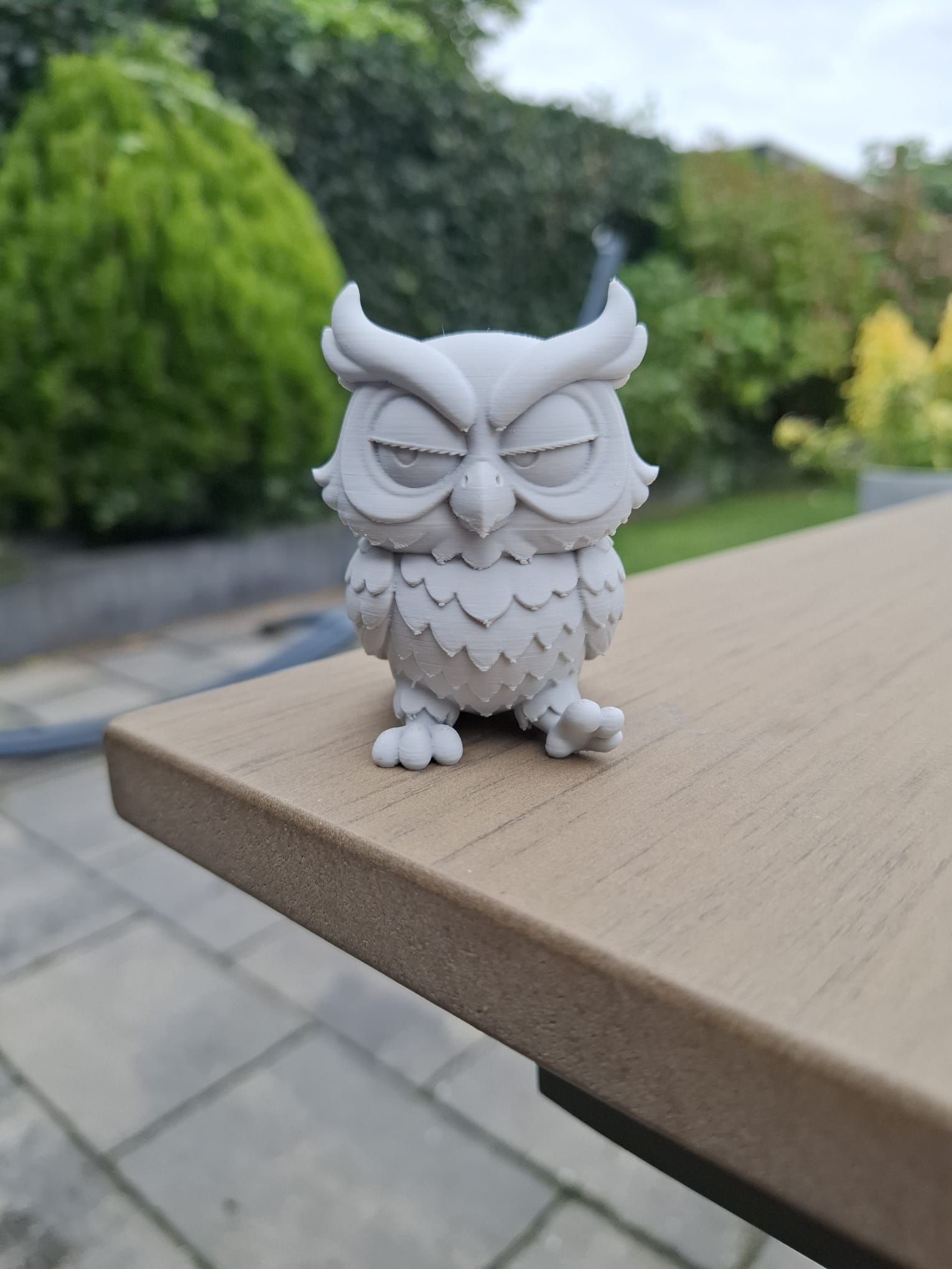 The Grumpy Owl Guardian