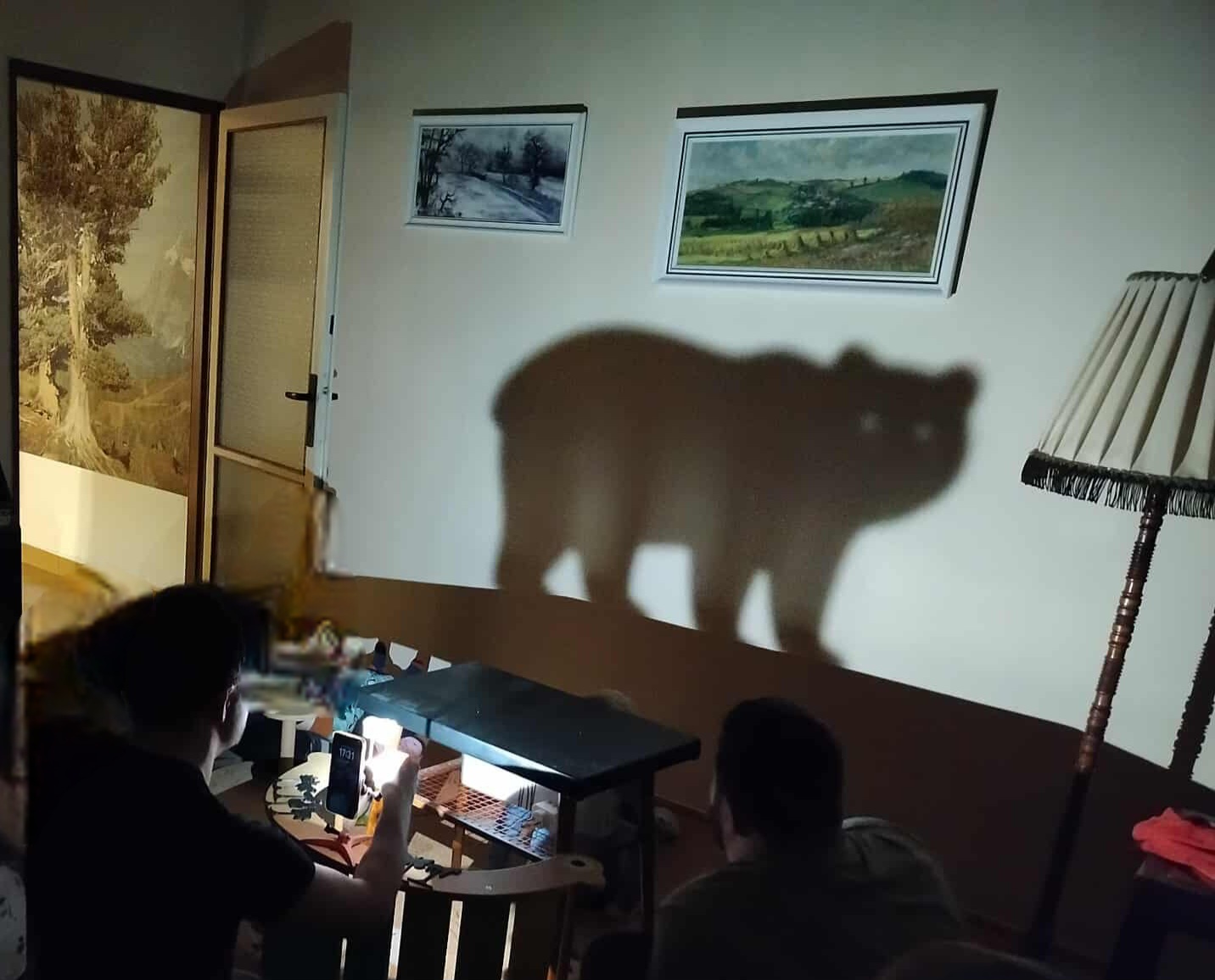 shadow play animals