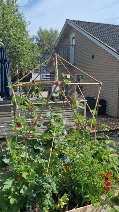 Geodesic D20 Dome — miniatura 2