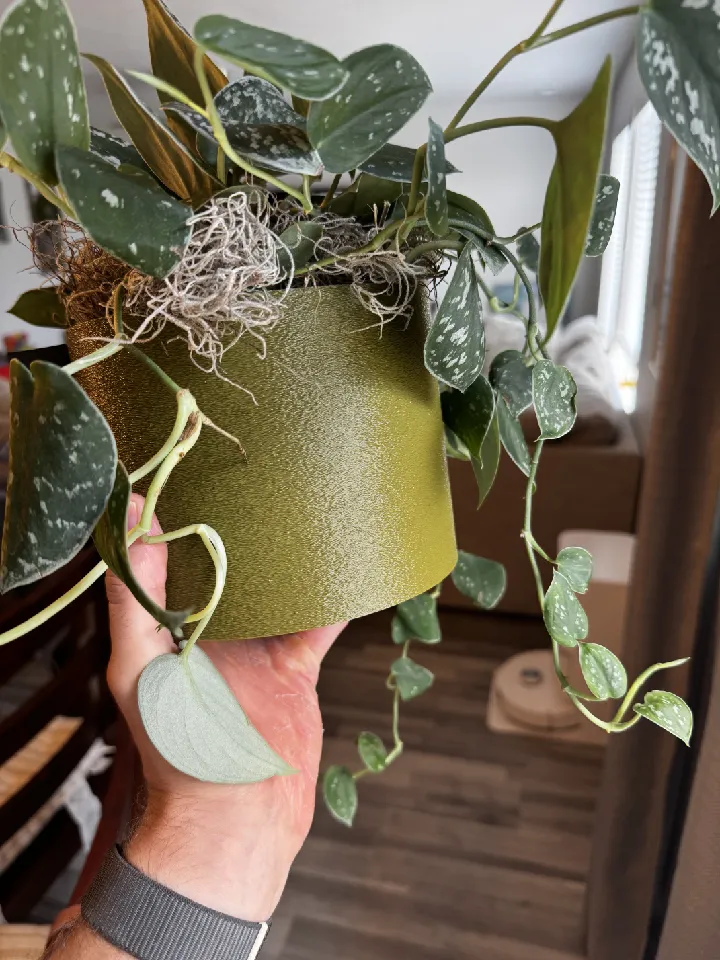 Wall Hanging Planter Pot With Drip Tray by 3DGearSupply | Download free STL  model | Printables.com