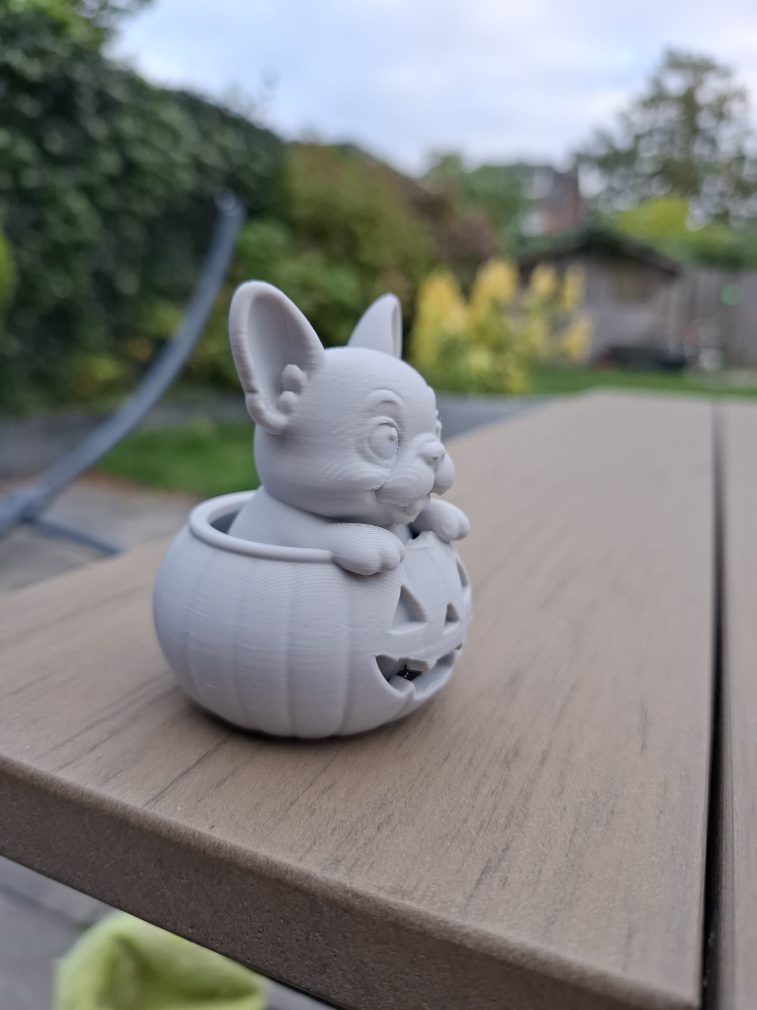 Pumkin French Puppy — miniatura 2