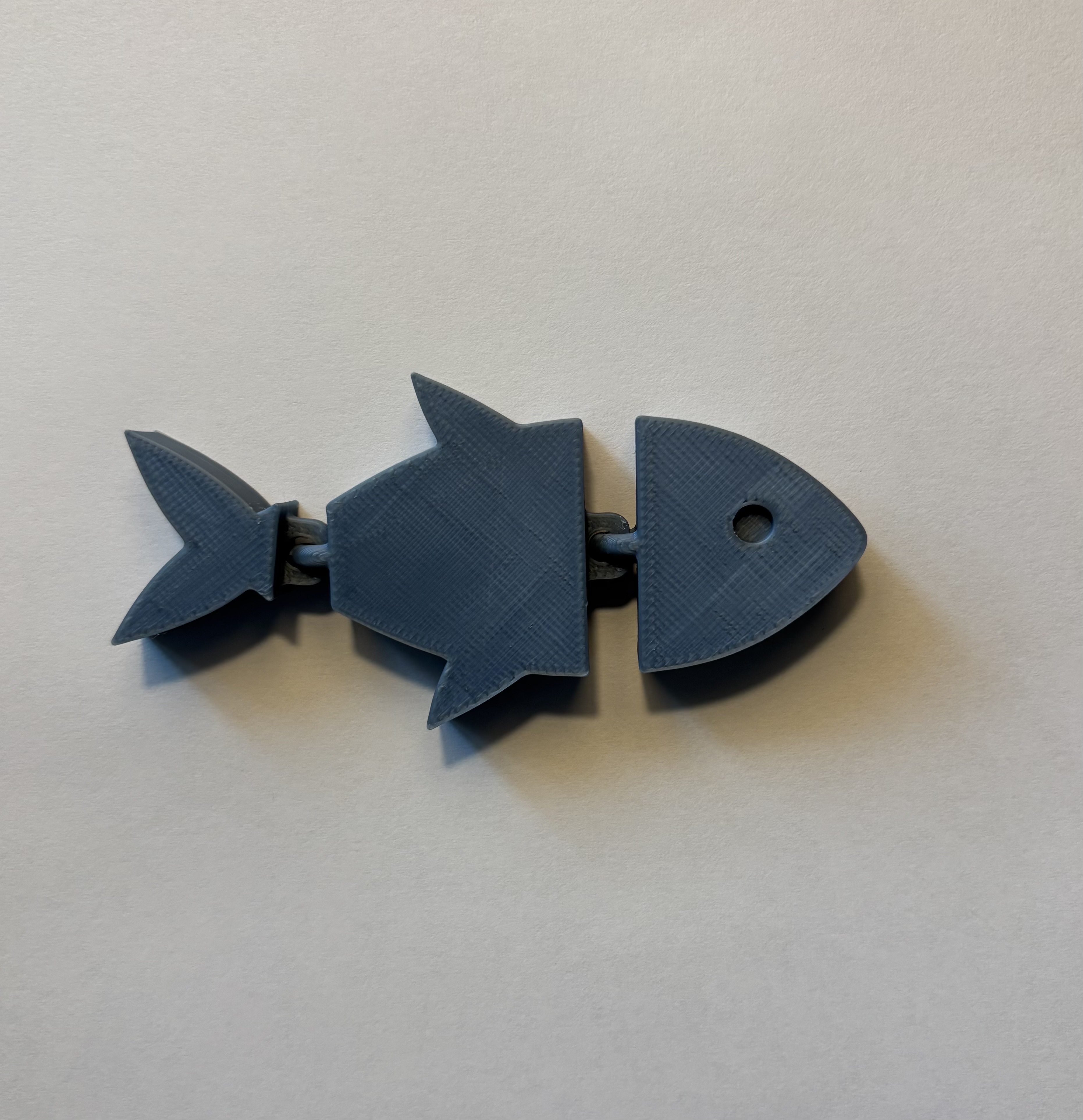 Floppy Fish - Articulable fish