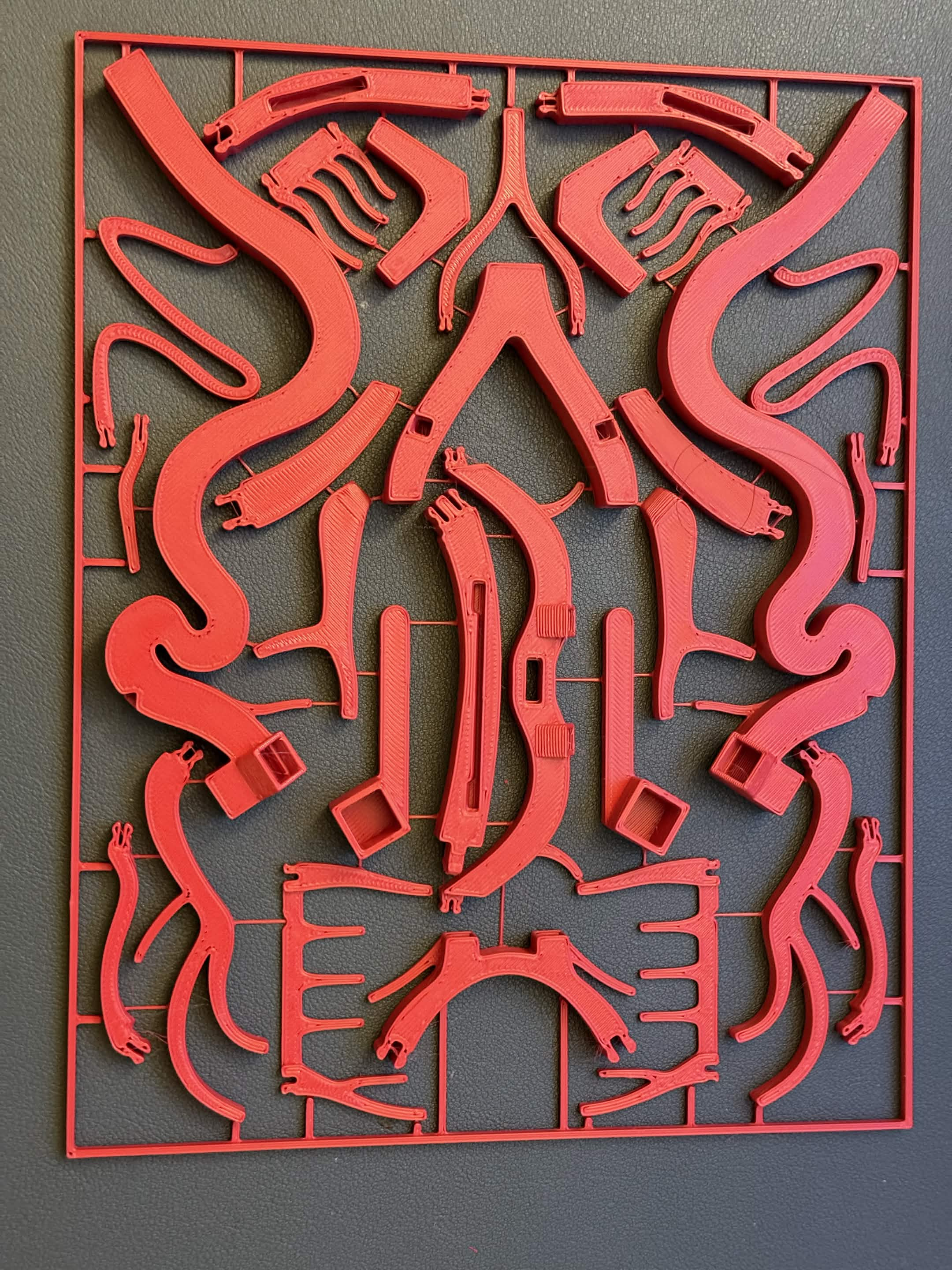 Arteries of the Brain Model Kit (Circle of Willis)