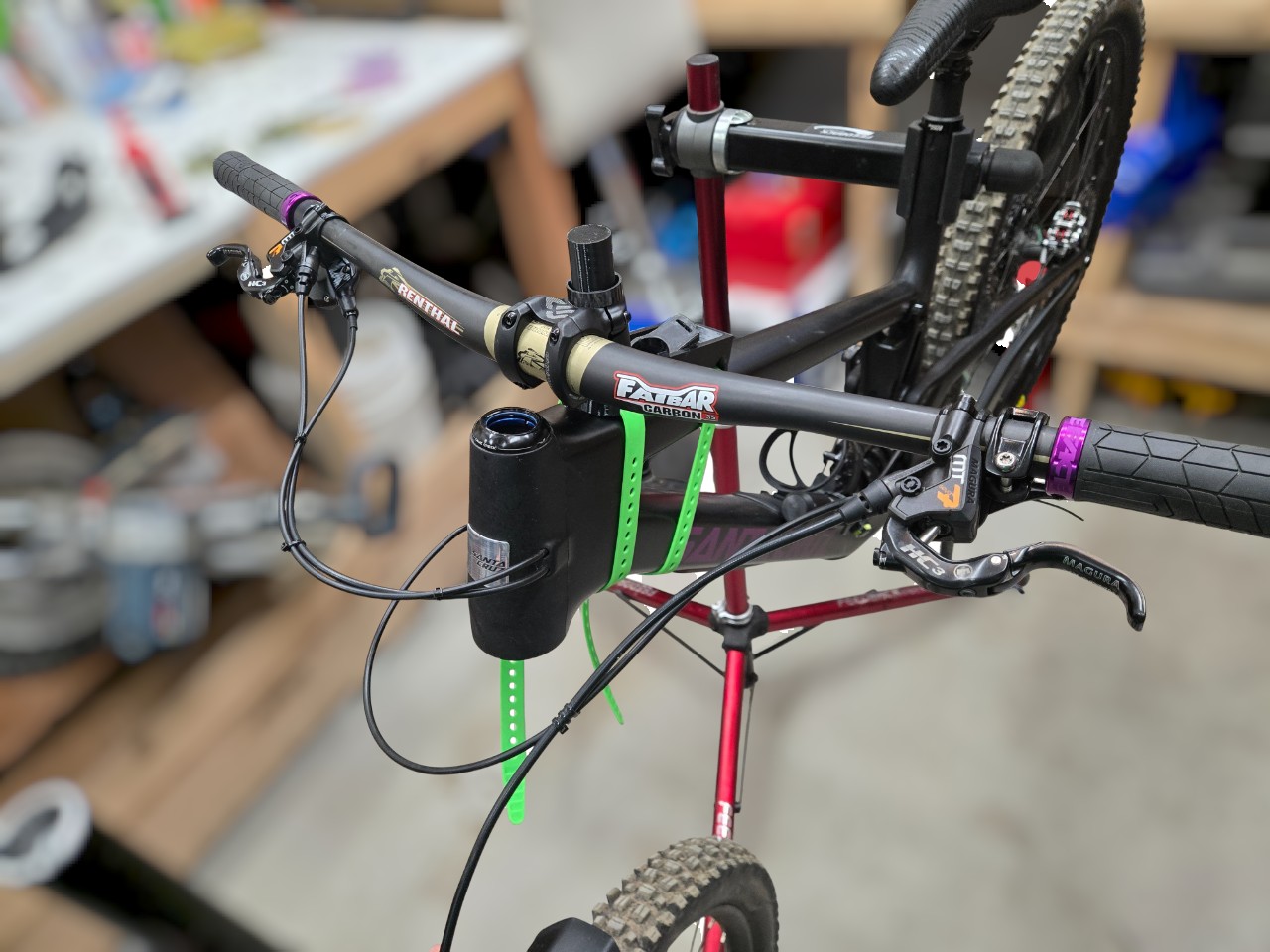 Stem Storage