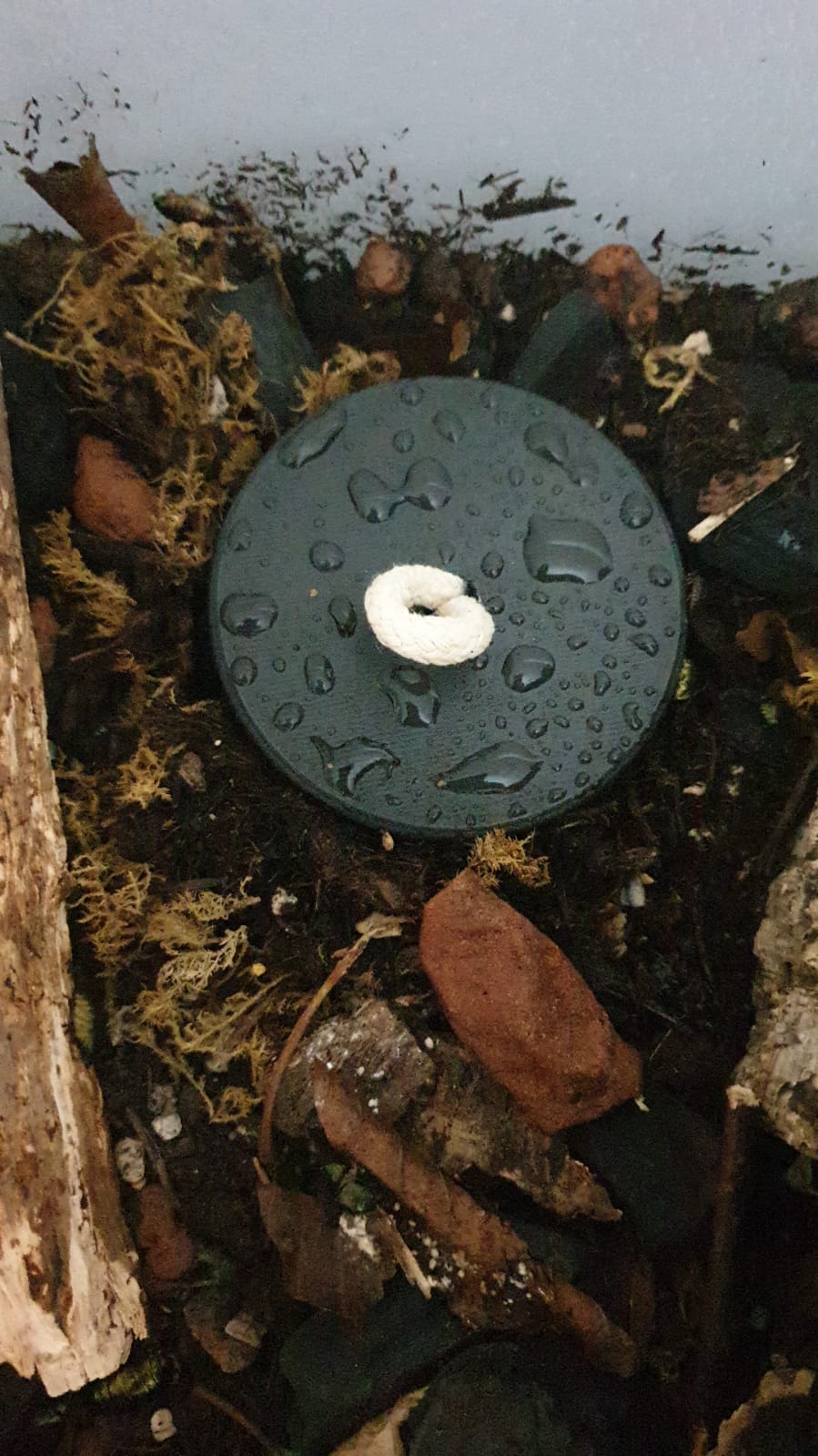 Tränke für Schaben/Käfer usw.