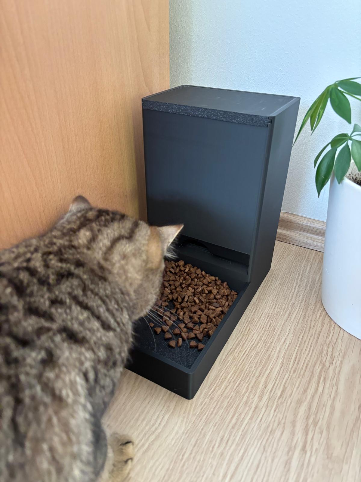 Automatic Pet Feeder