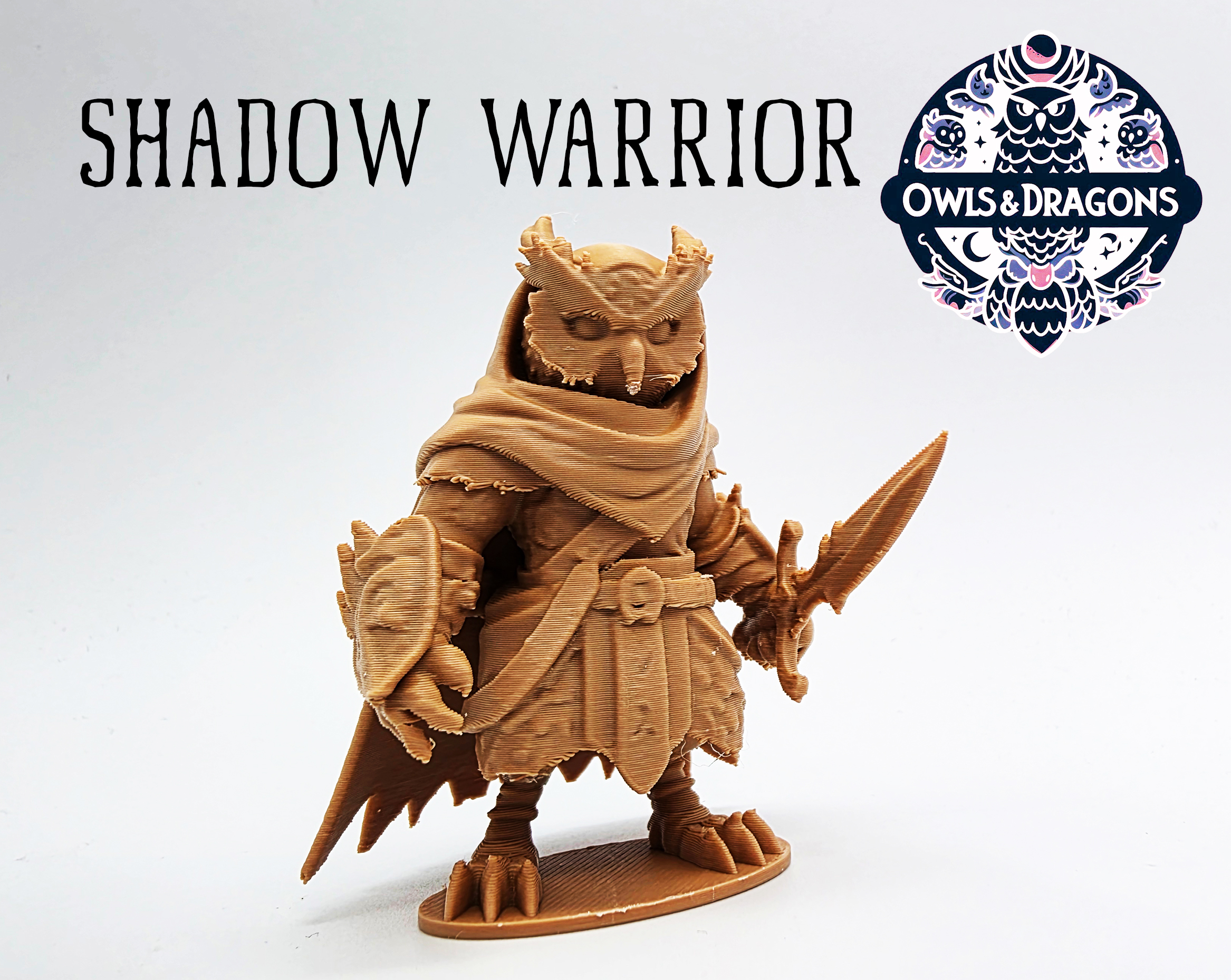 The Shadow Warrior - Owls & Dragons