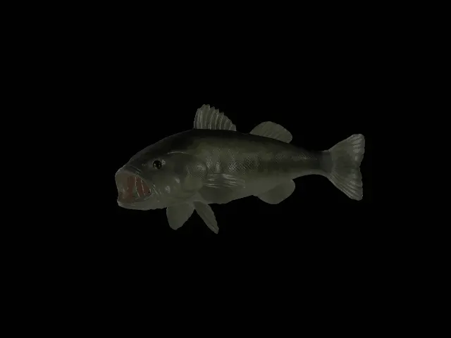 Largemouth Bass Sculpture