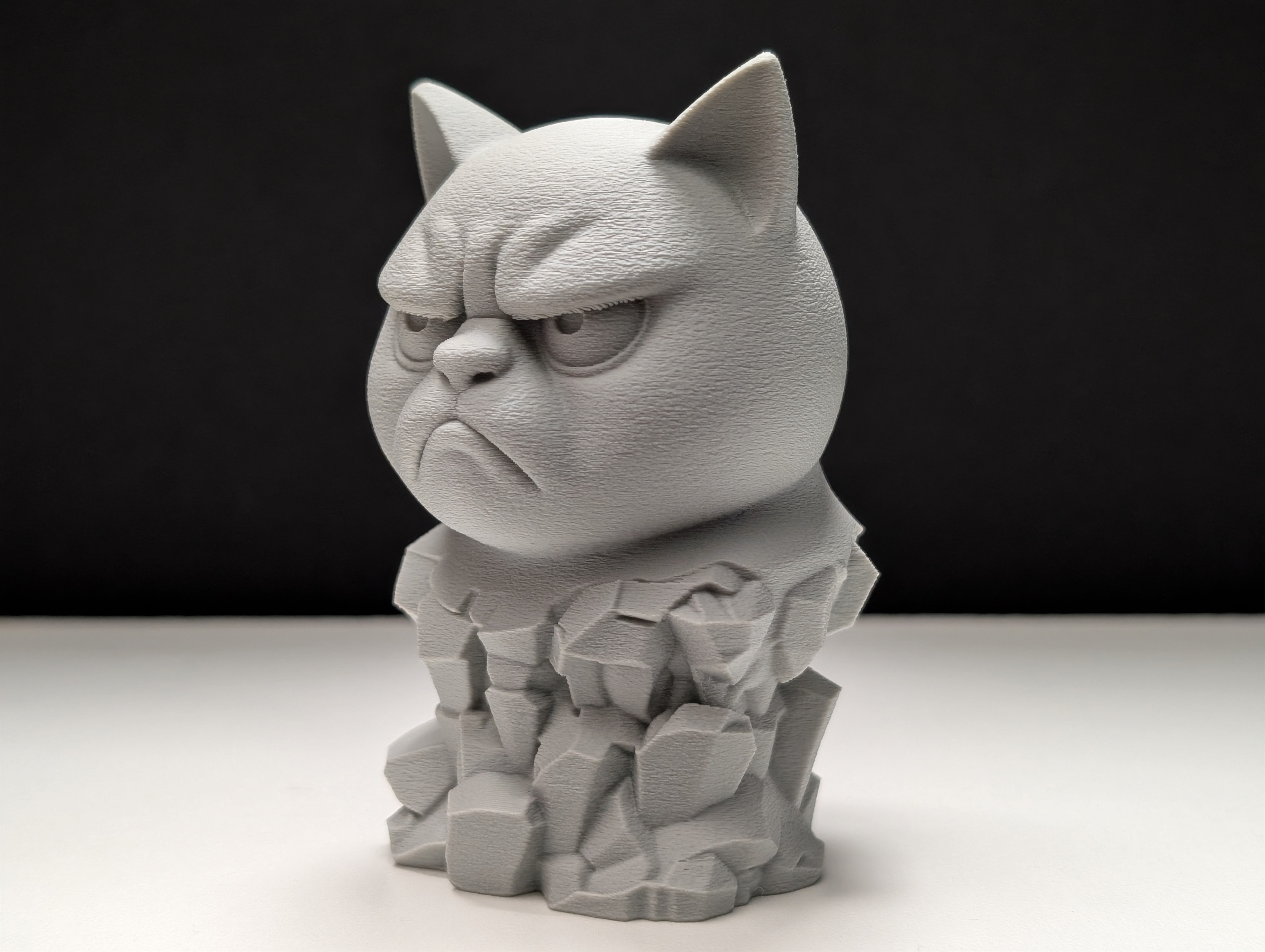 Miniatura 9 do modelo 3D Grumpy Cat - Stone Bust