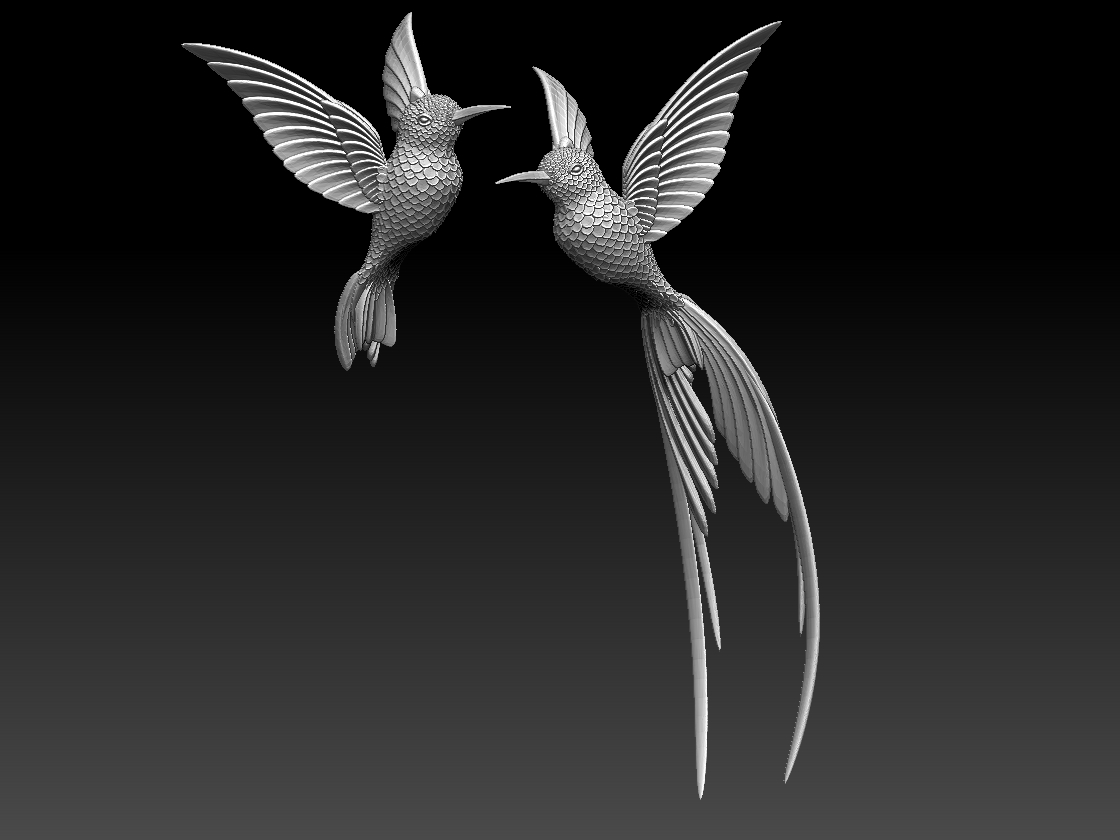 hummingbird — miniatura 7