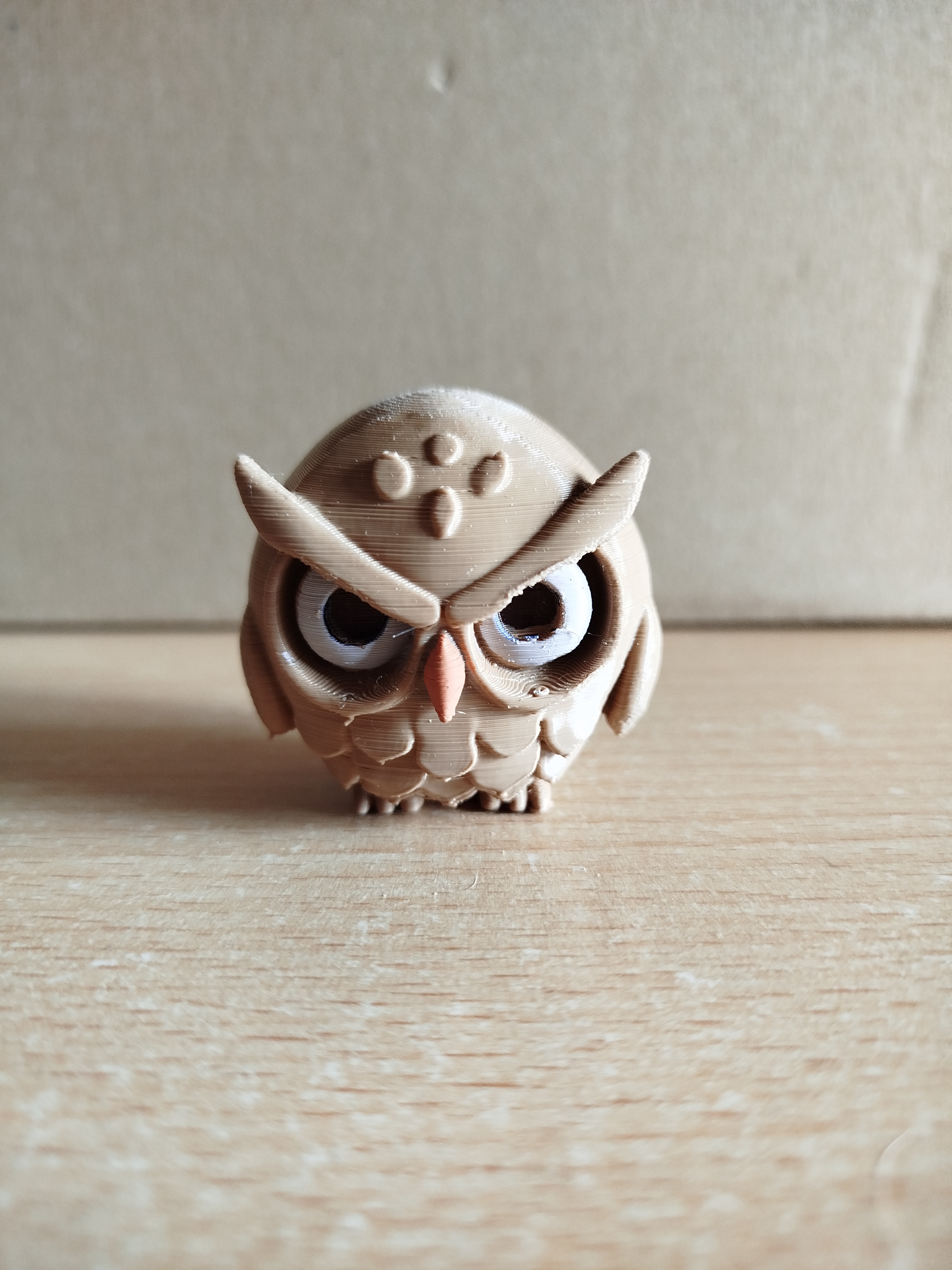Angry little Owl