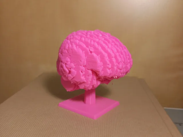 Sliced Brain + Stand