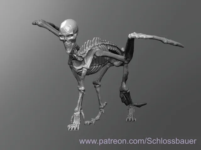 Lammasu Skeleton