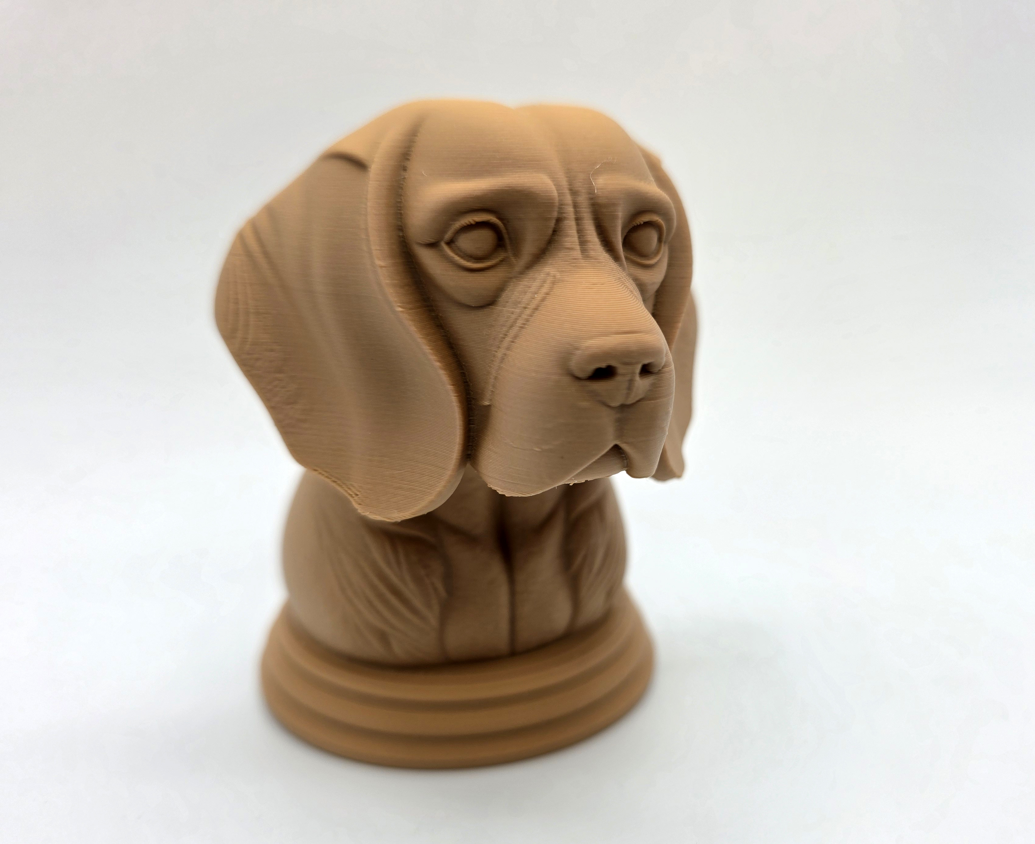 Miniatura 5 do modelo 3D Beagle Bust