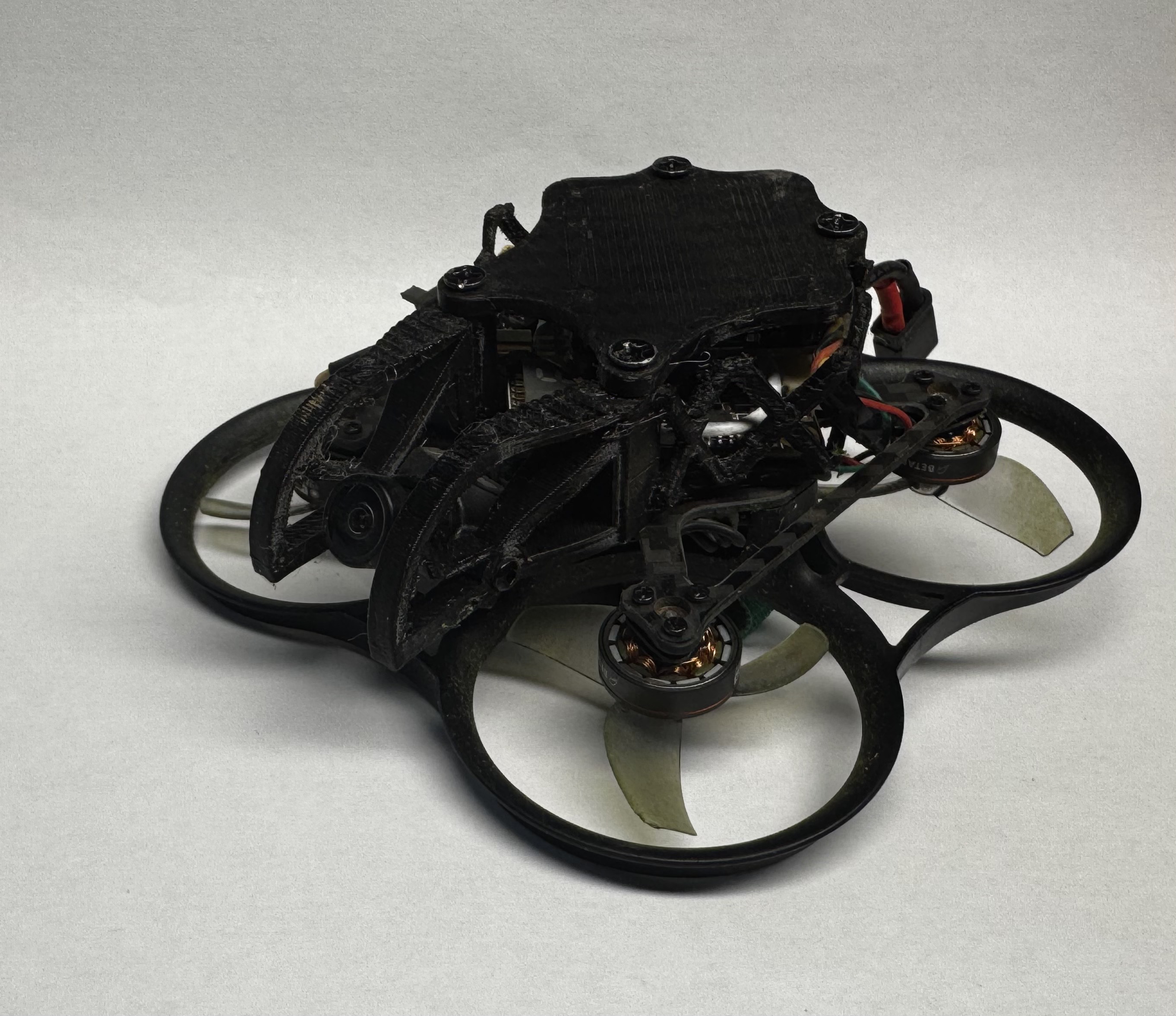 Custom Pavo Femto Canopy