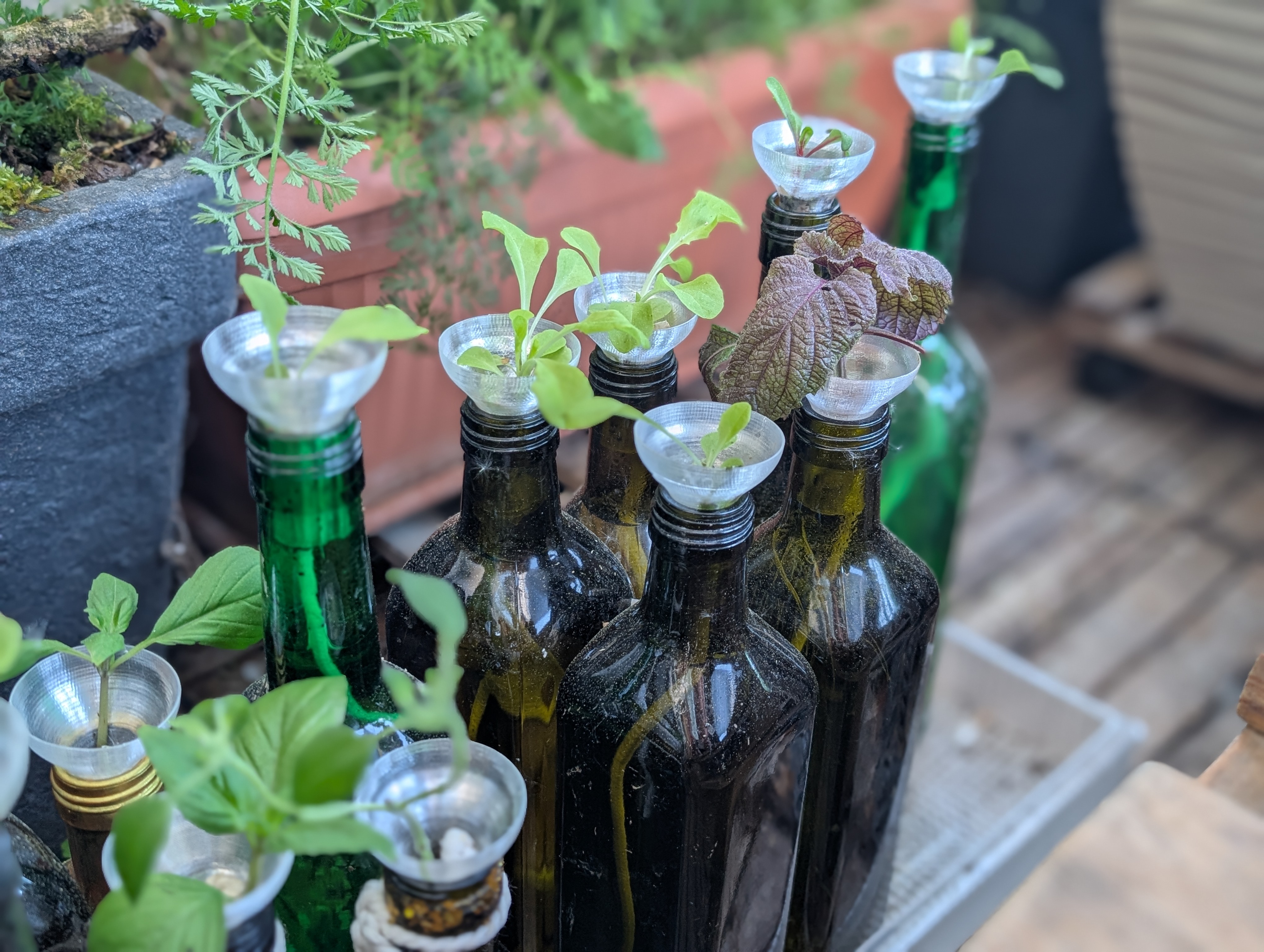Hydroponic Kratky Bottle Adapter - Vase mode ultrafast — thumbnail 5
