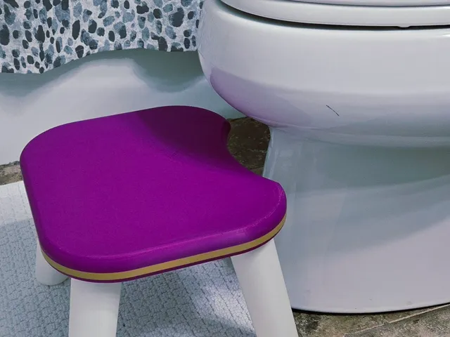 Potty Stool