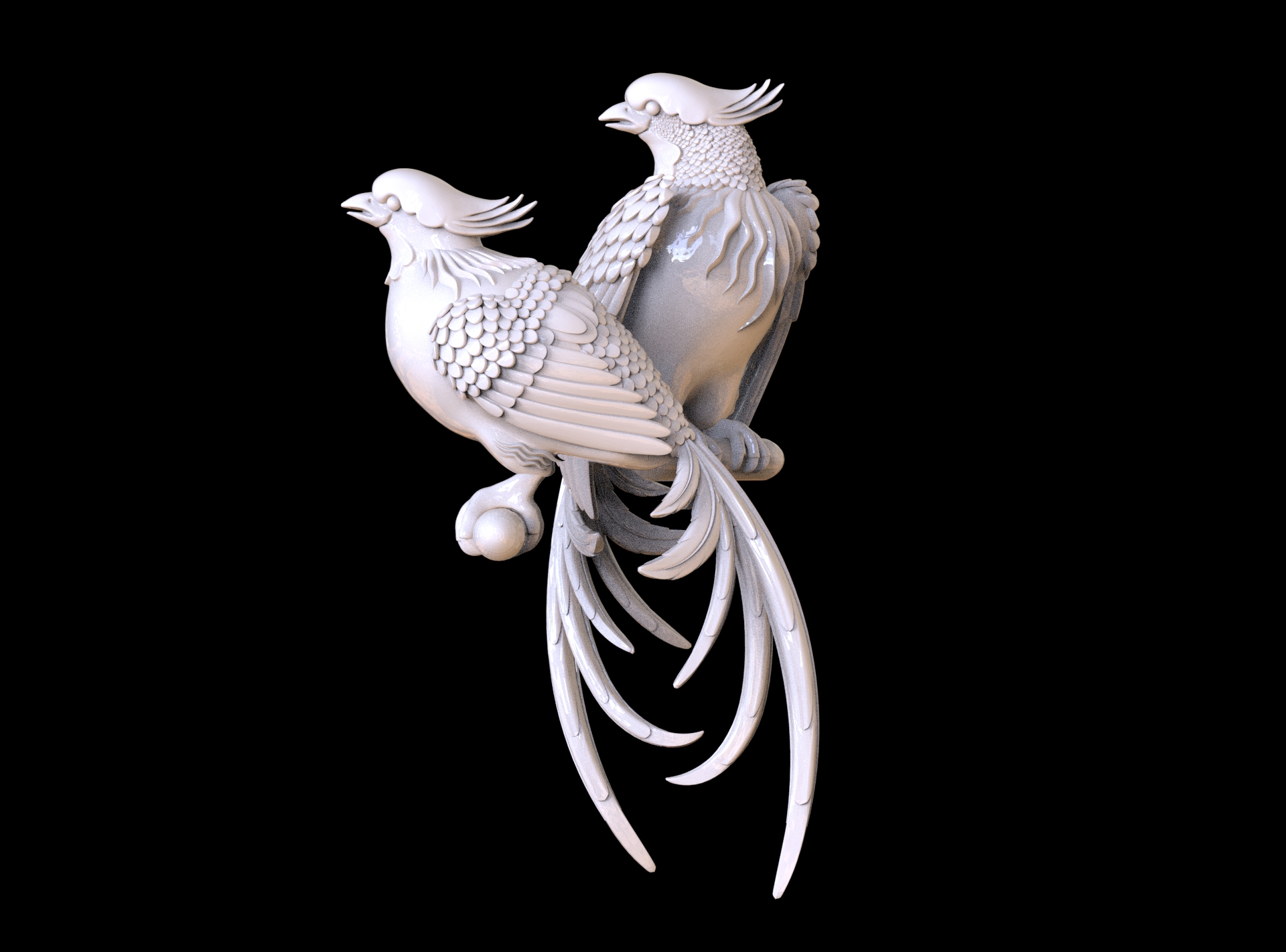 birds
