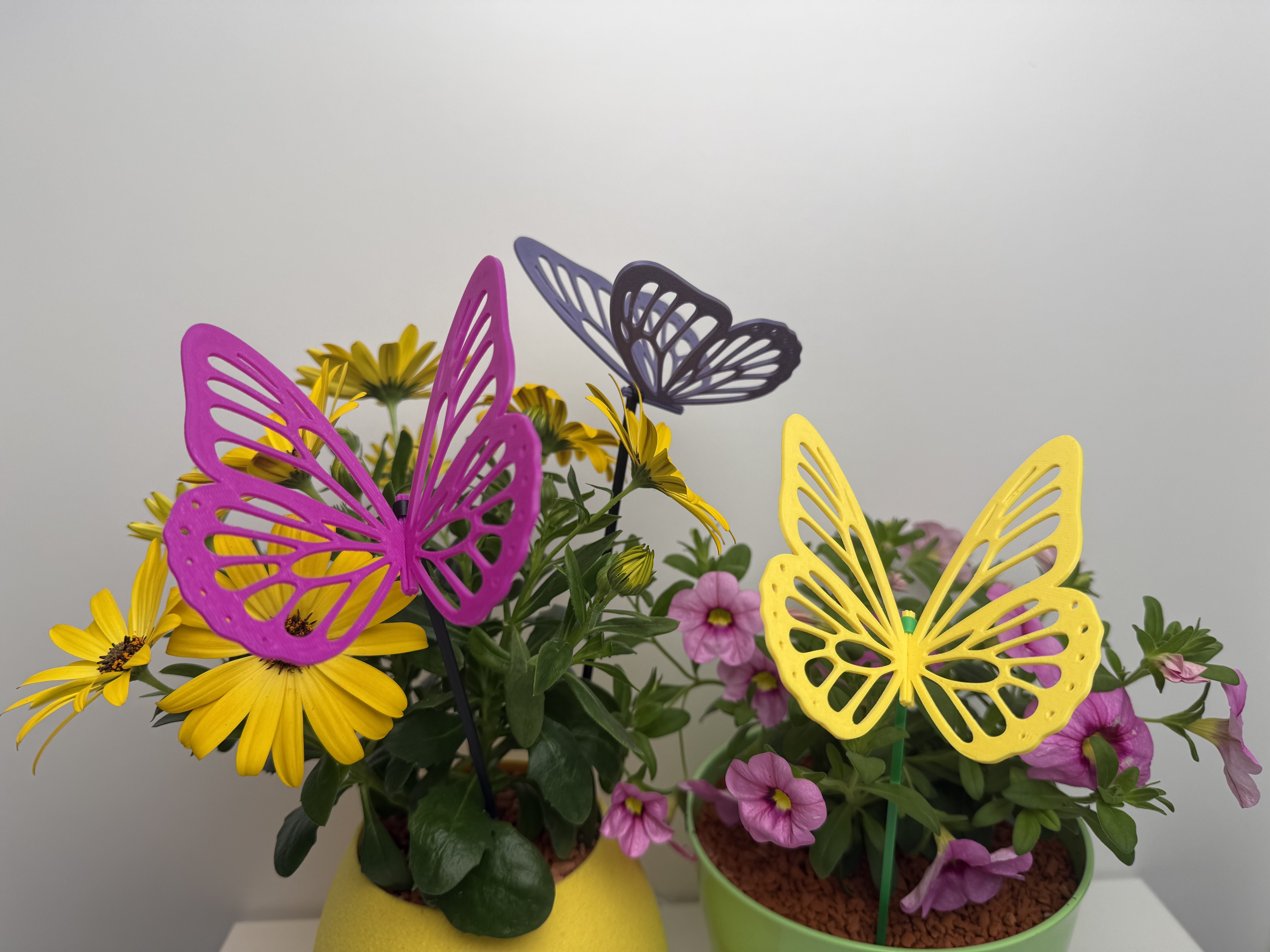 Butterfly (Flowers decor)