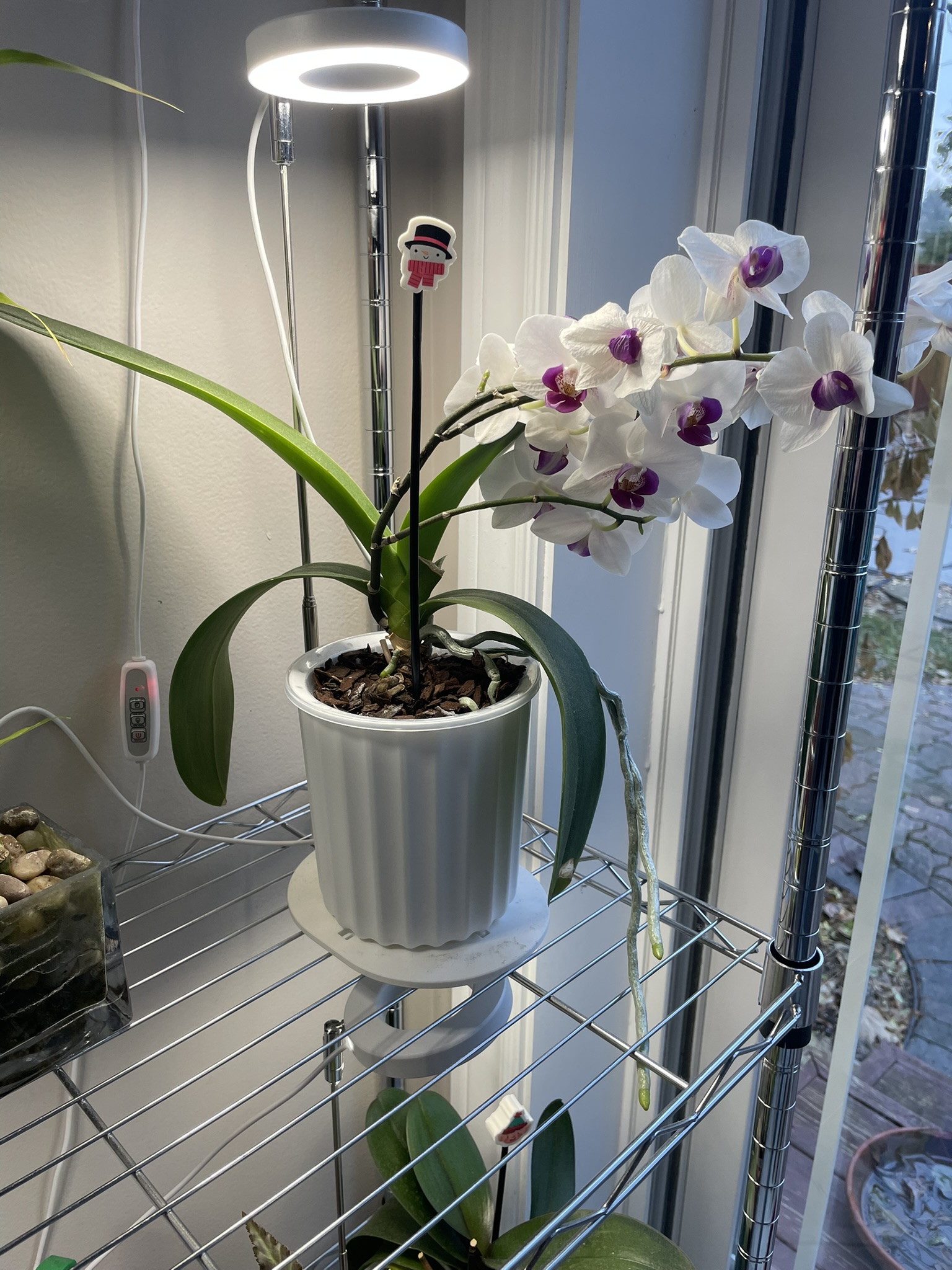 Larger Base for DEL Desk Grow Light for Home