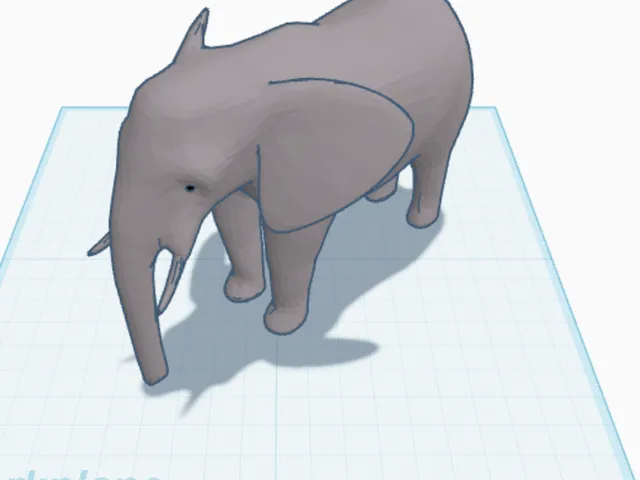elephant