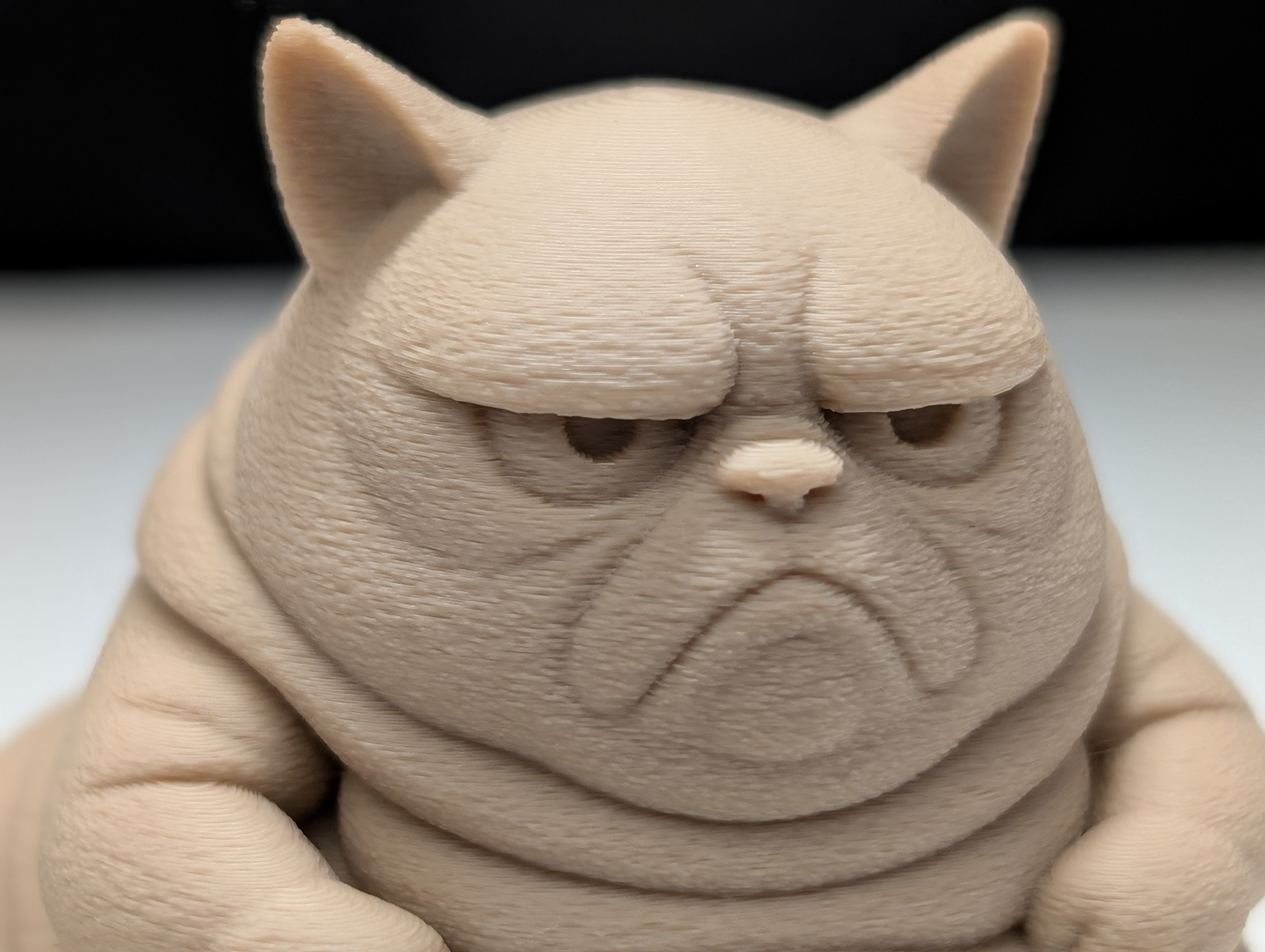Miniatura 2 do modelo 3D Grumpy Cat the Hutt