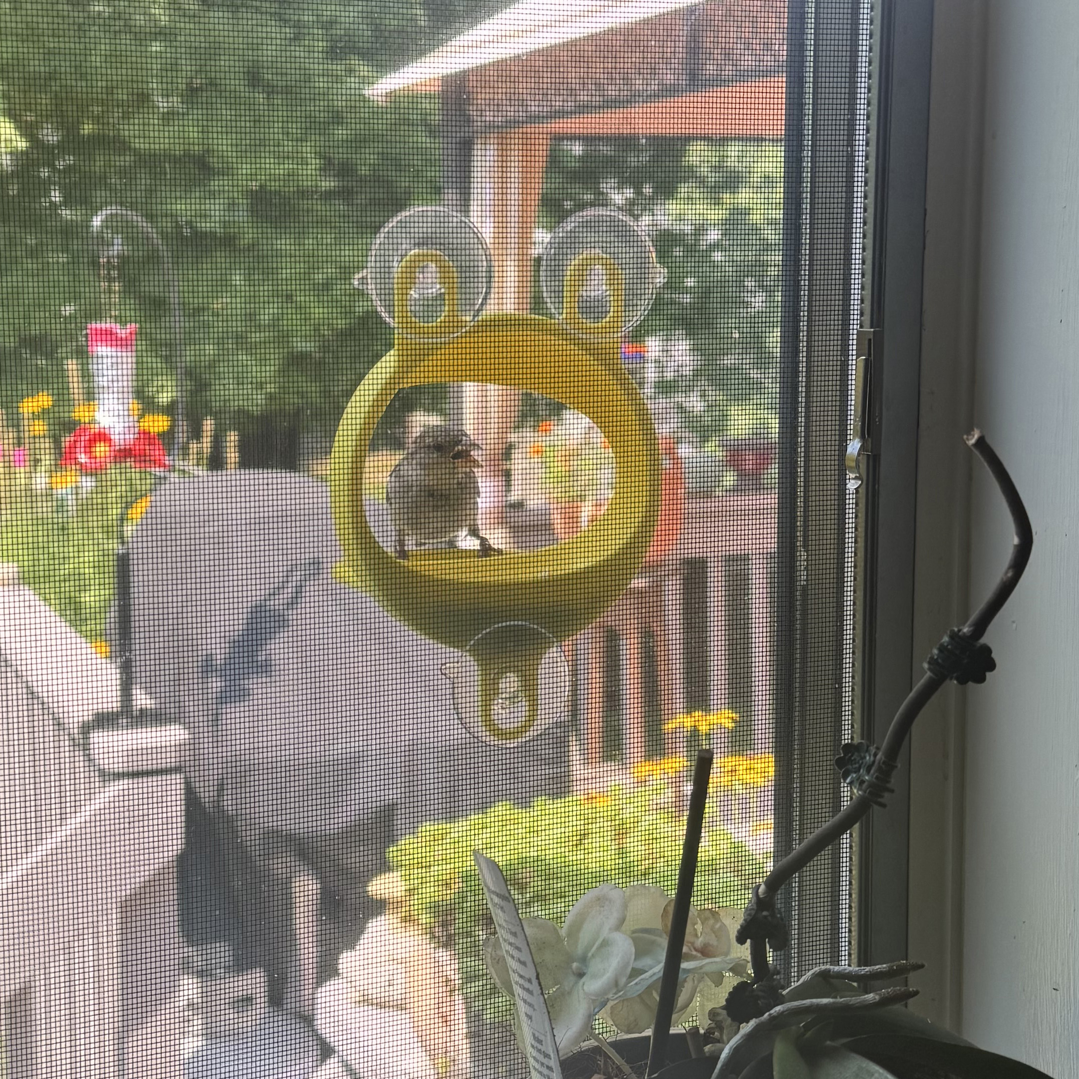 Miniatura 2 do modelo 3D Window Bird Feeder Remix