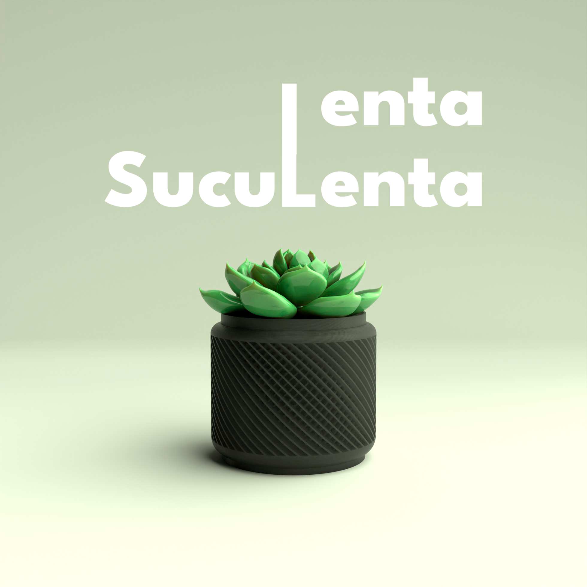 Lenta Suculenta – Succulent Planter